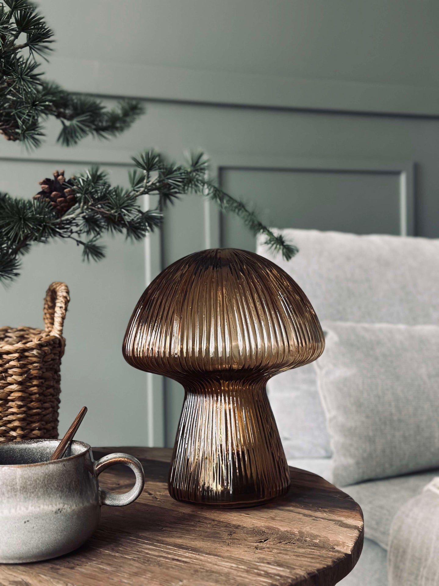 Svamp med räfflor - Gyllene