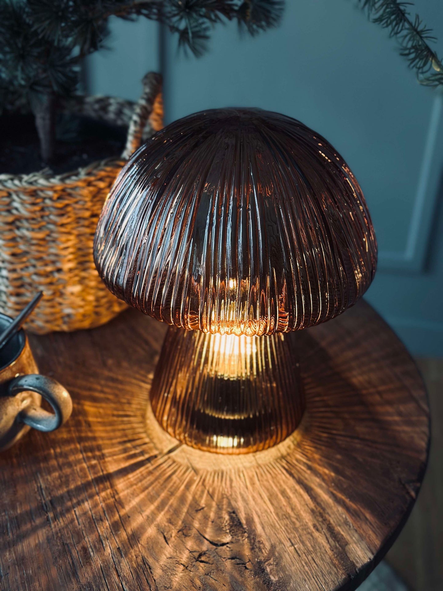 Svamp med räfflor - Brun