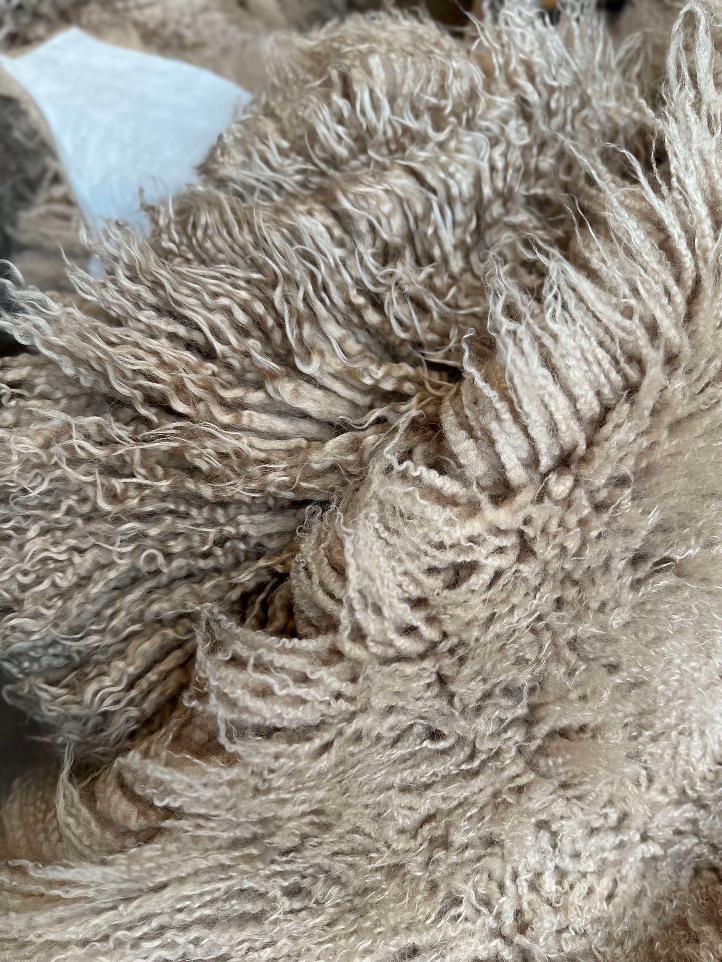 Isländskt lammskinn – Moccachino