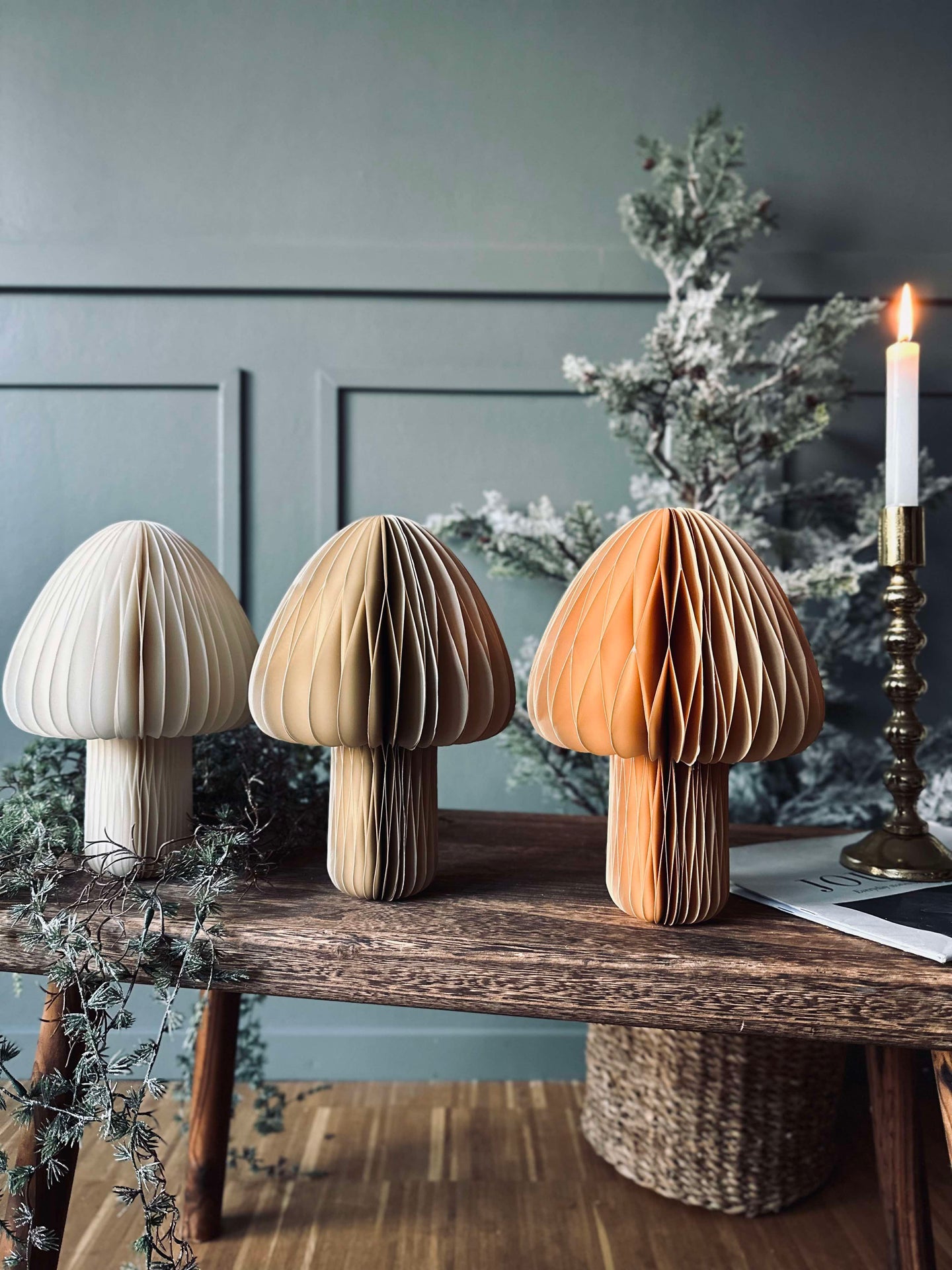 Mushroom No.2 - 1 st Medium - COLOR MIX