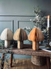 Mushroom No.2 - 1 st Medium - COLOR MIX