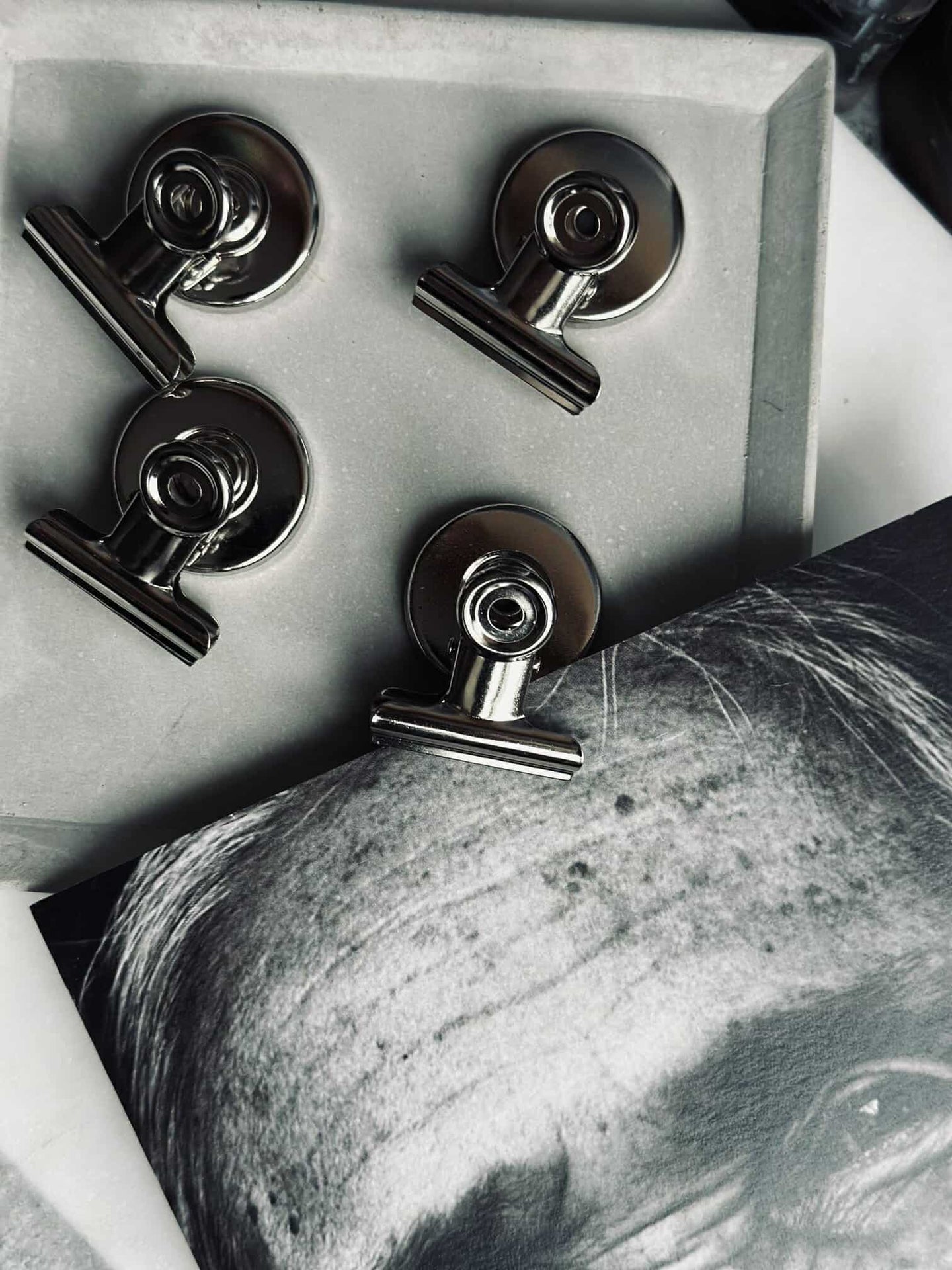 Magneter med klämmor - 4 st