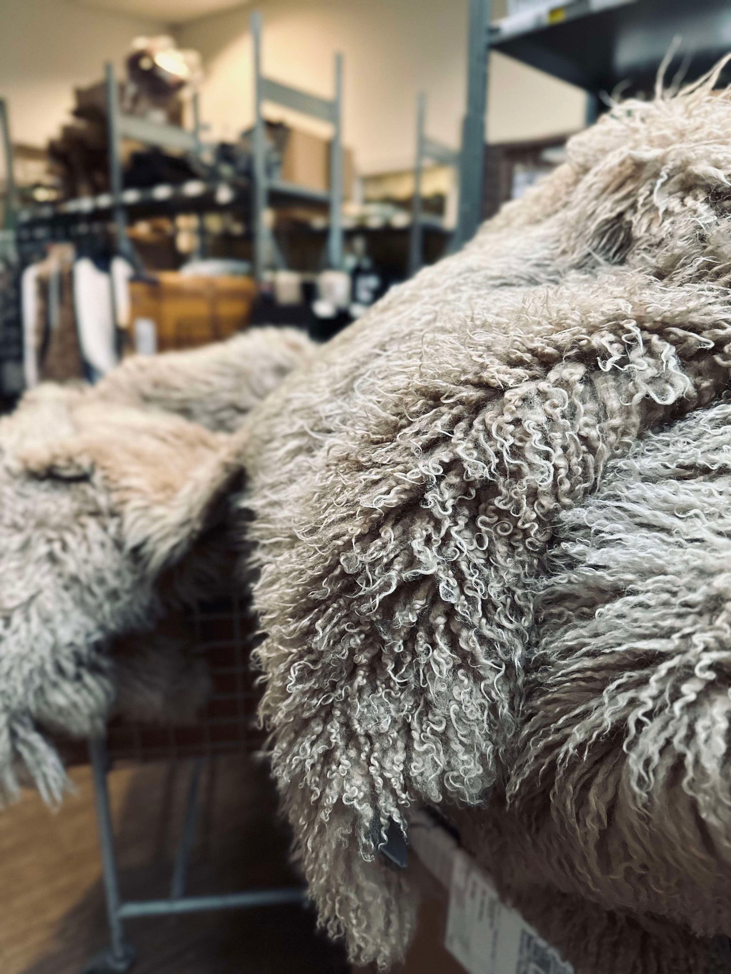 Isländskt lammskinn – Moccachino