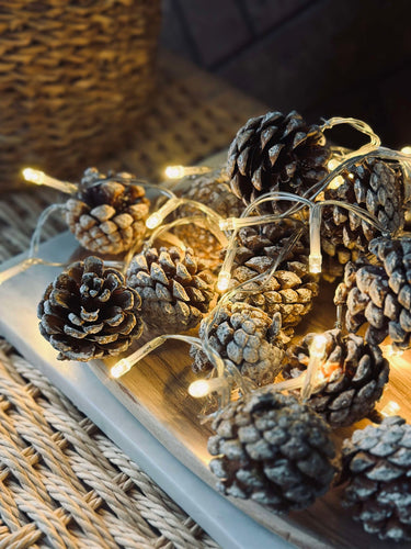 Ljusslinga med små kottar