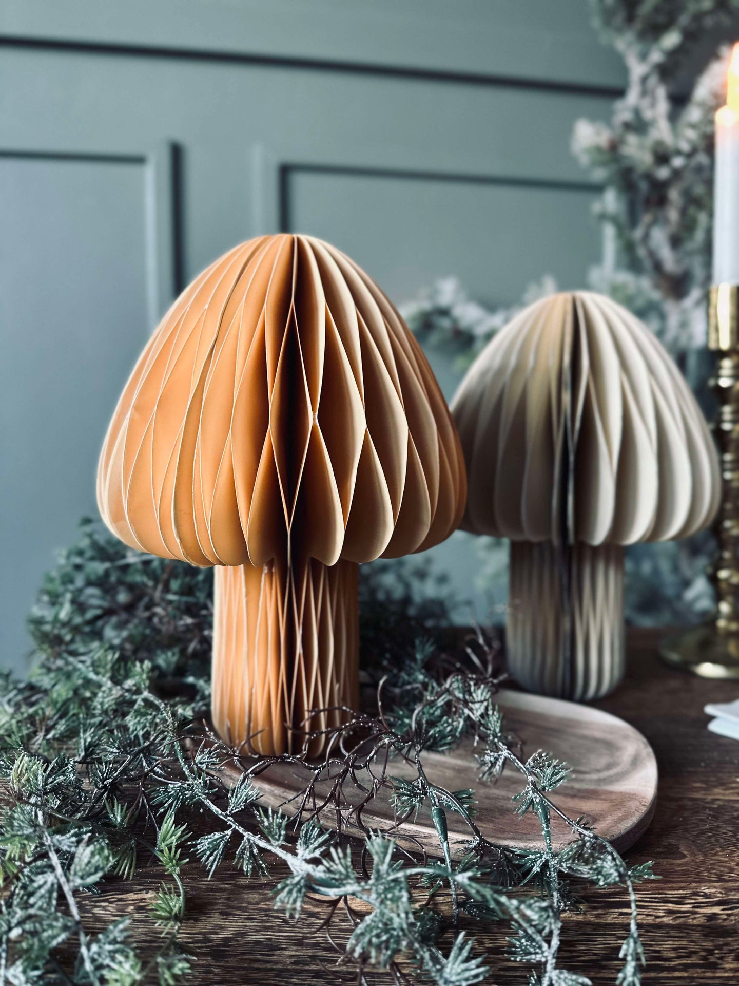 Mushroom No.2 - 1 st Medium - COLOR MIX