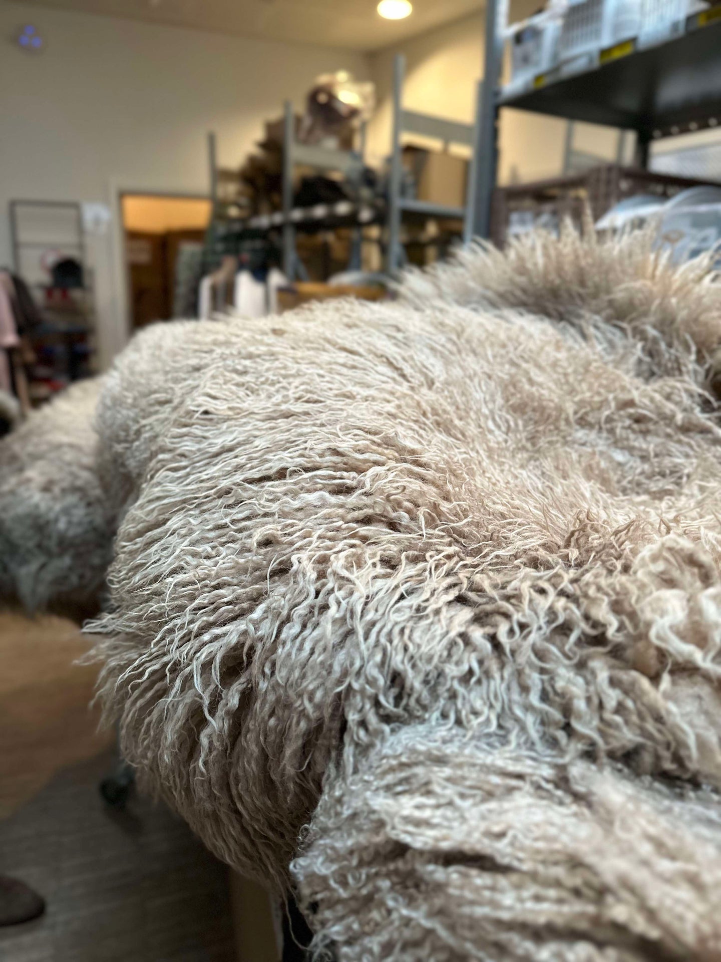 Isländskt lammskinn – Moccachino