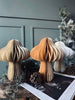 Mushroom No.1 - 1 st Medium