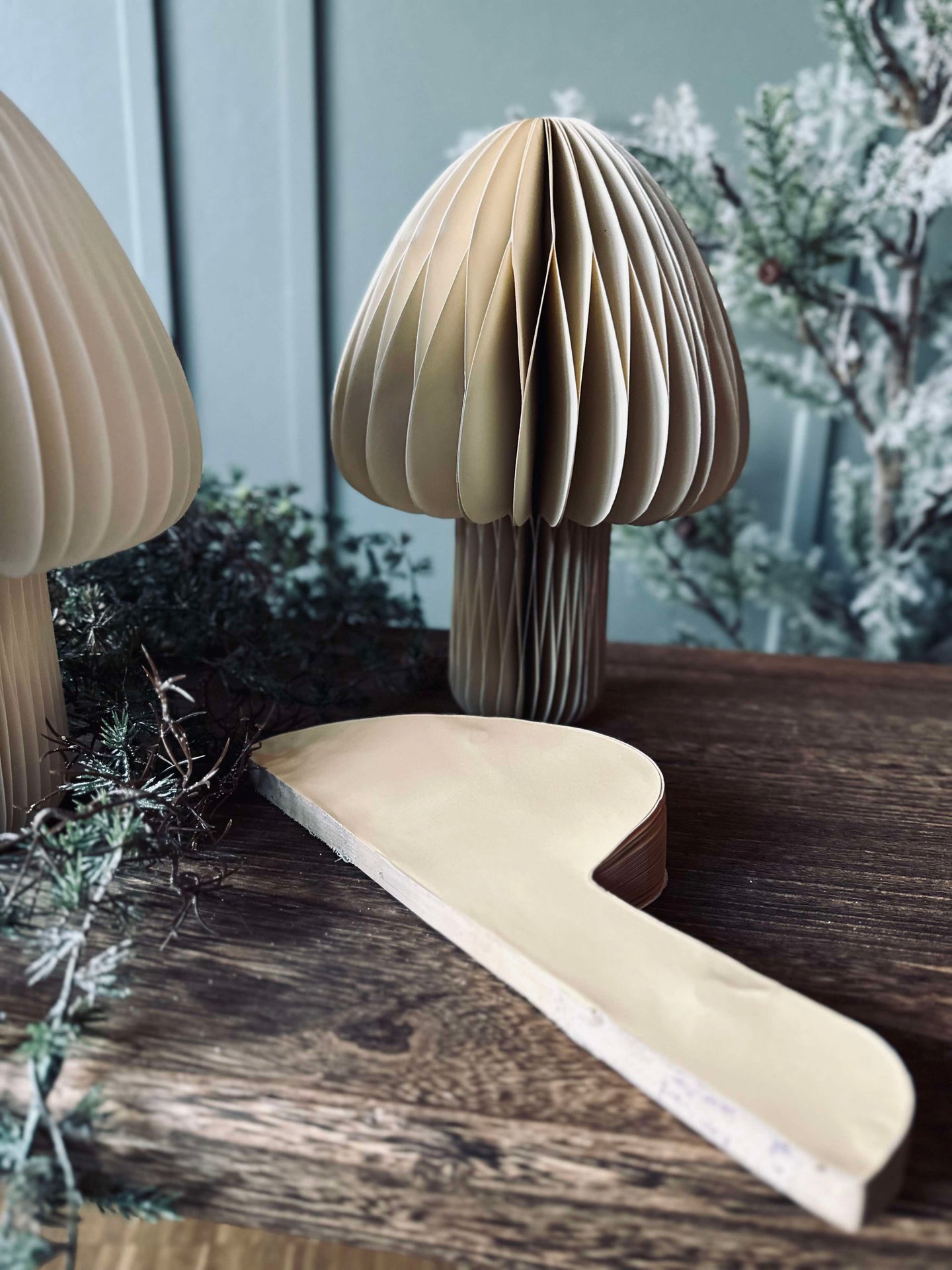 Mushroom No.2 - 1 st Medium - COLOR MIX