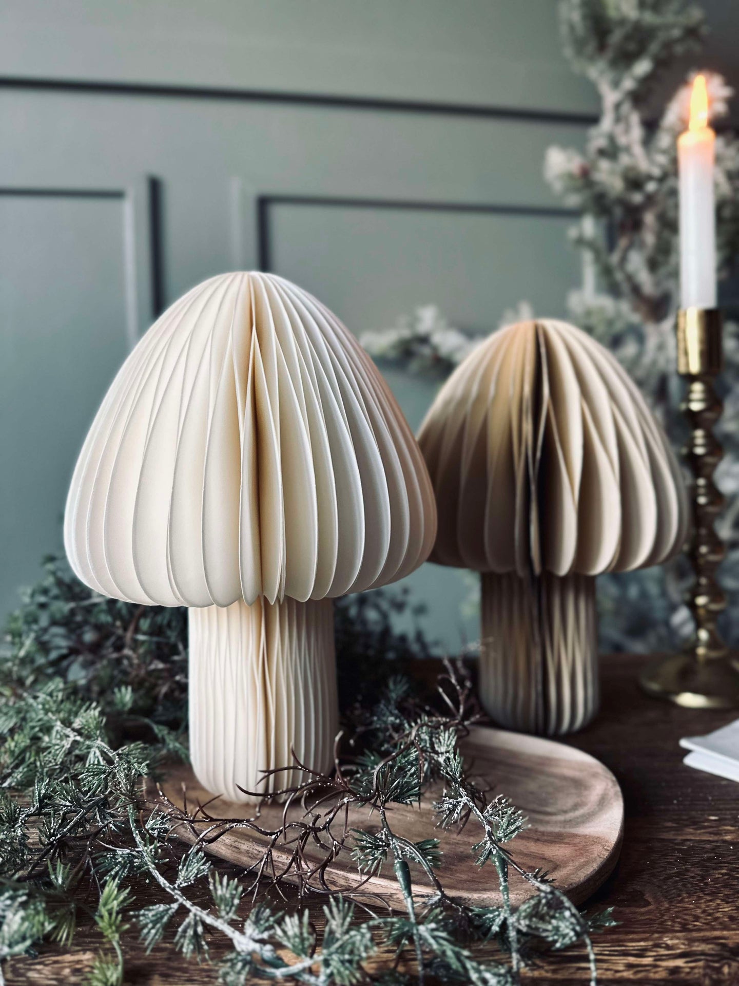 Mushroom No.2 - 1 st Medium - COLOR MIX