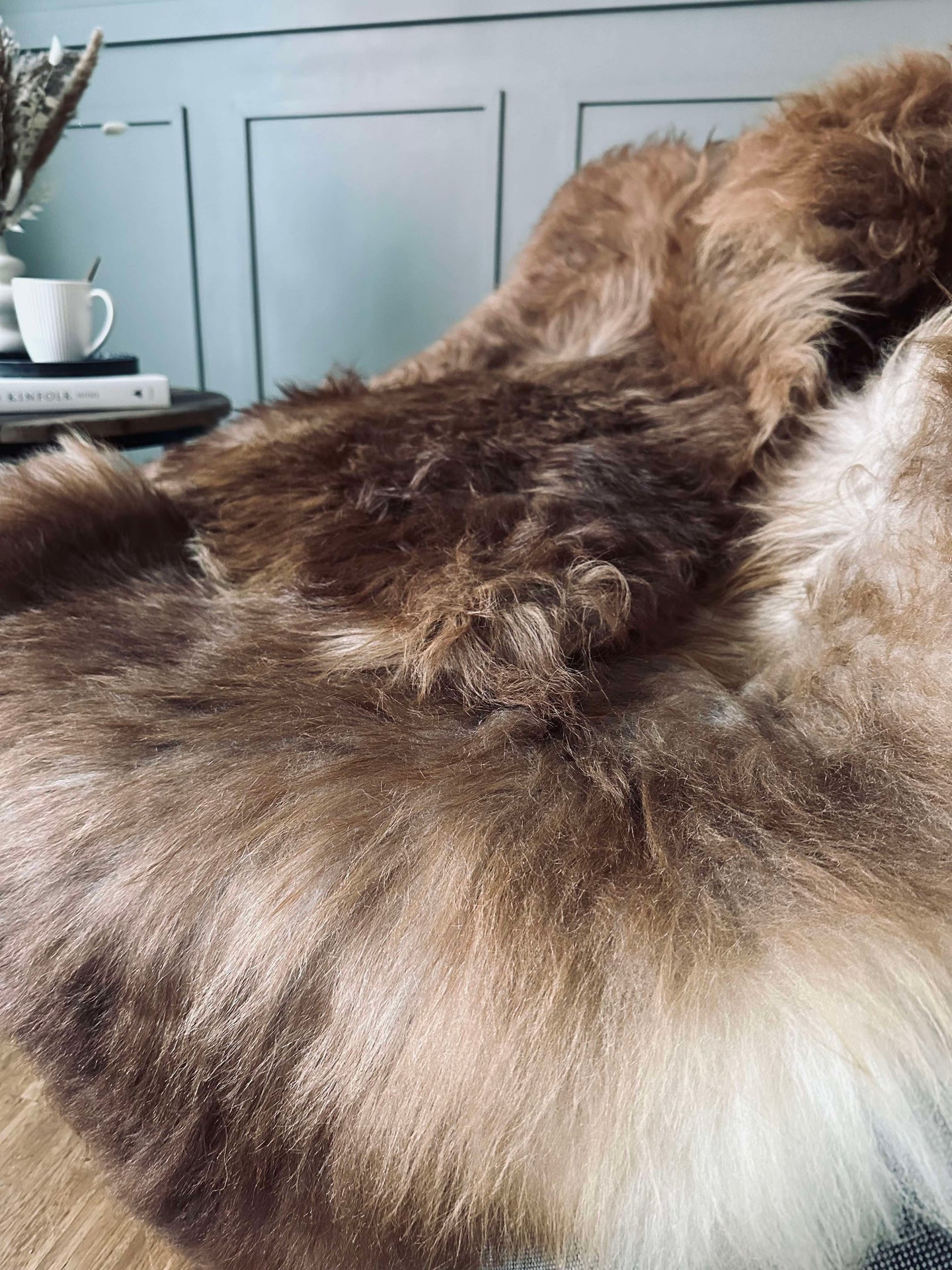 Isländskt lammskinn – Natur skinn Nougat nyanser