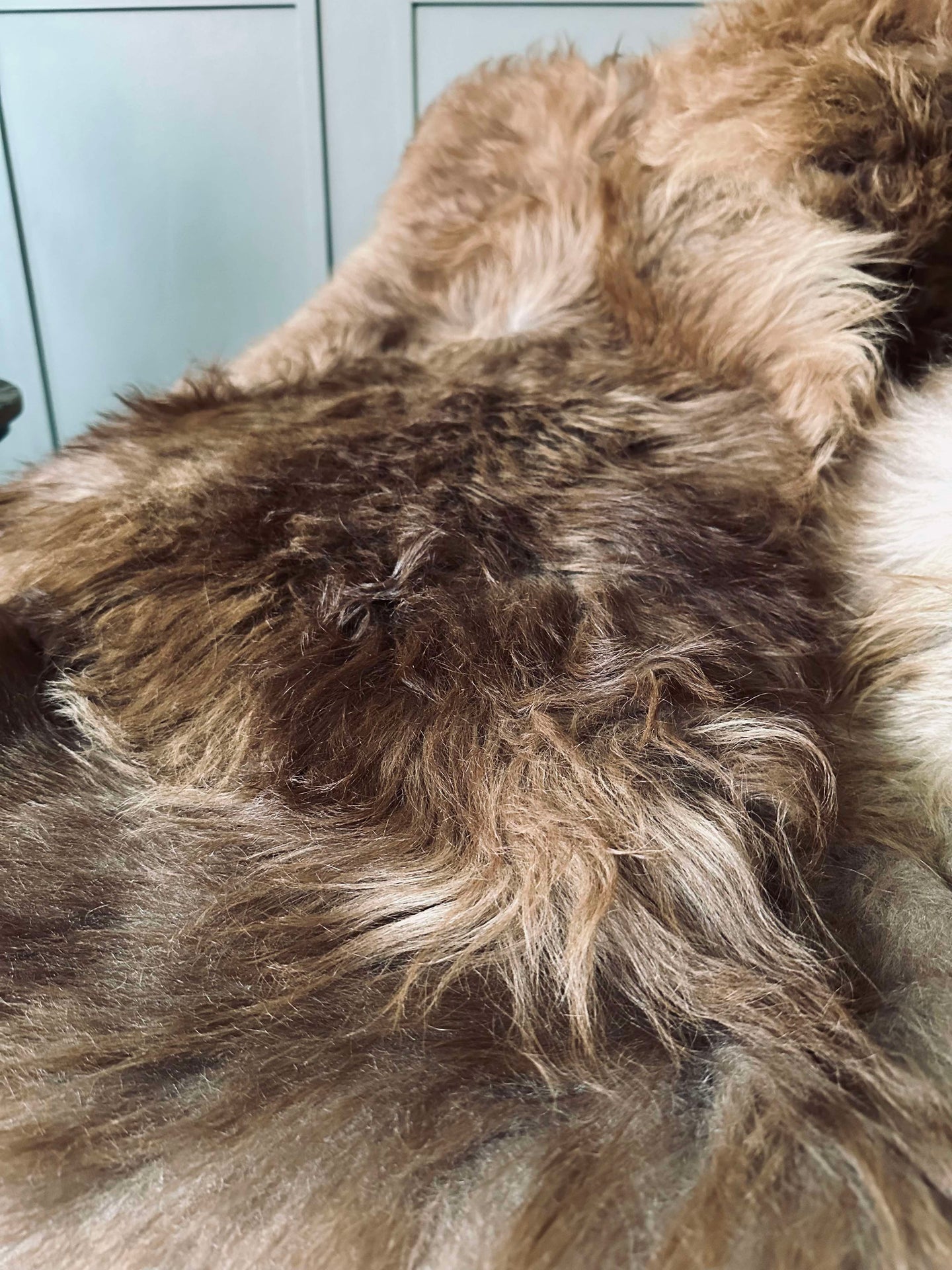 Isländskt lammskinn – Natur skinn Nougat nyanser