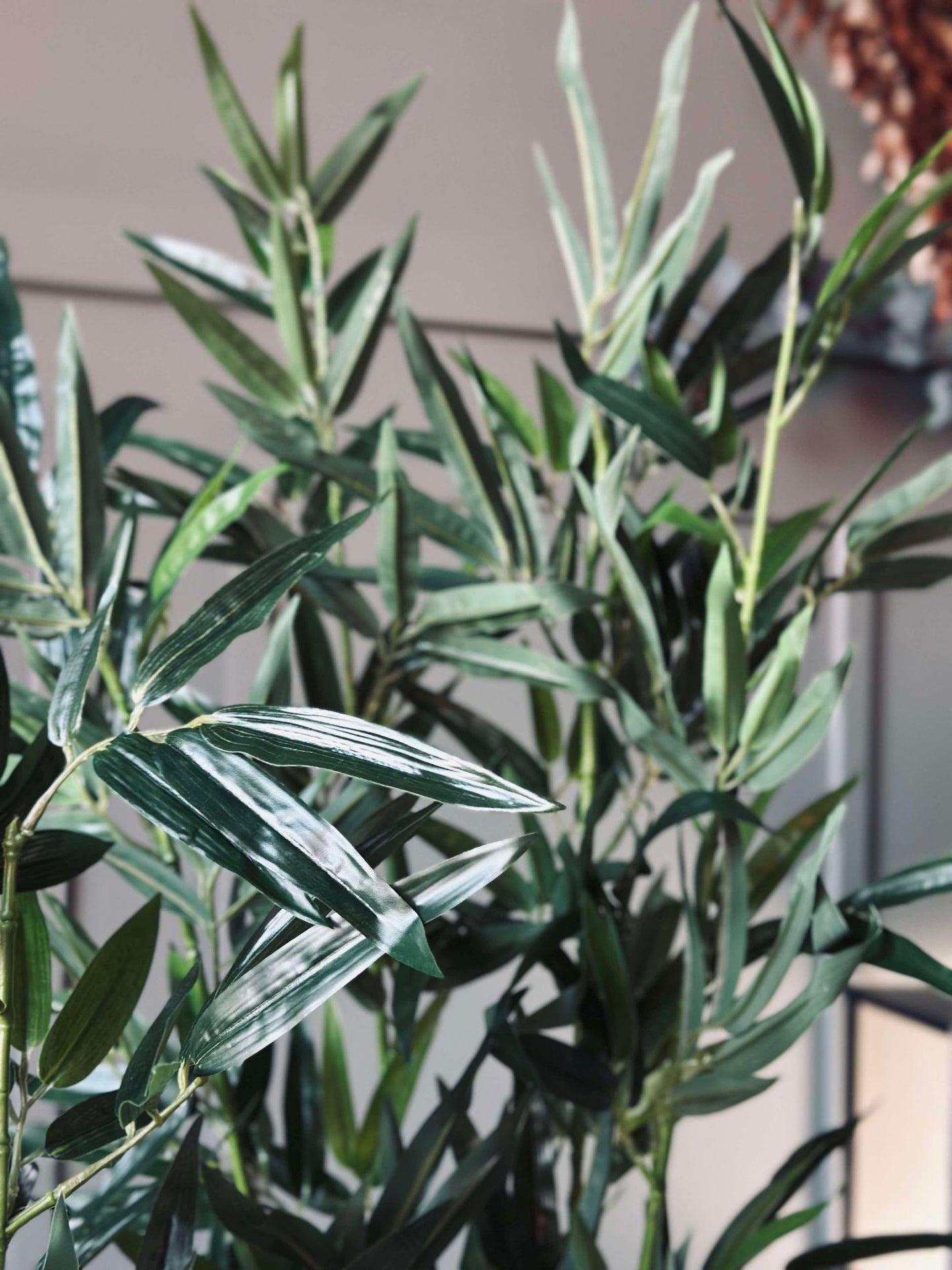 Bambu i kruka 110 cm