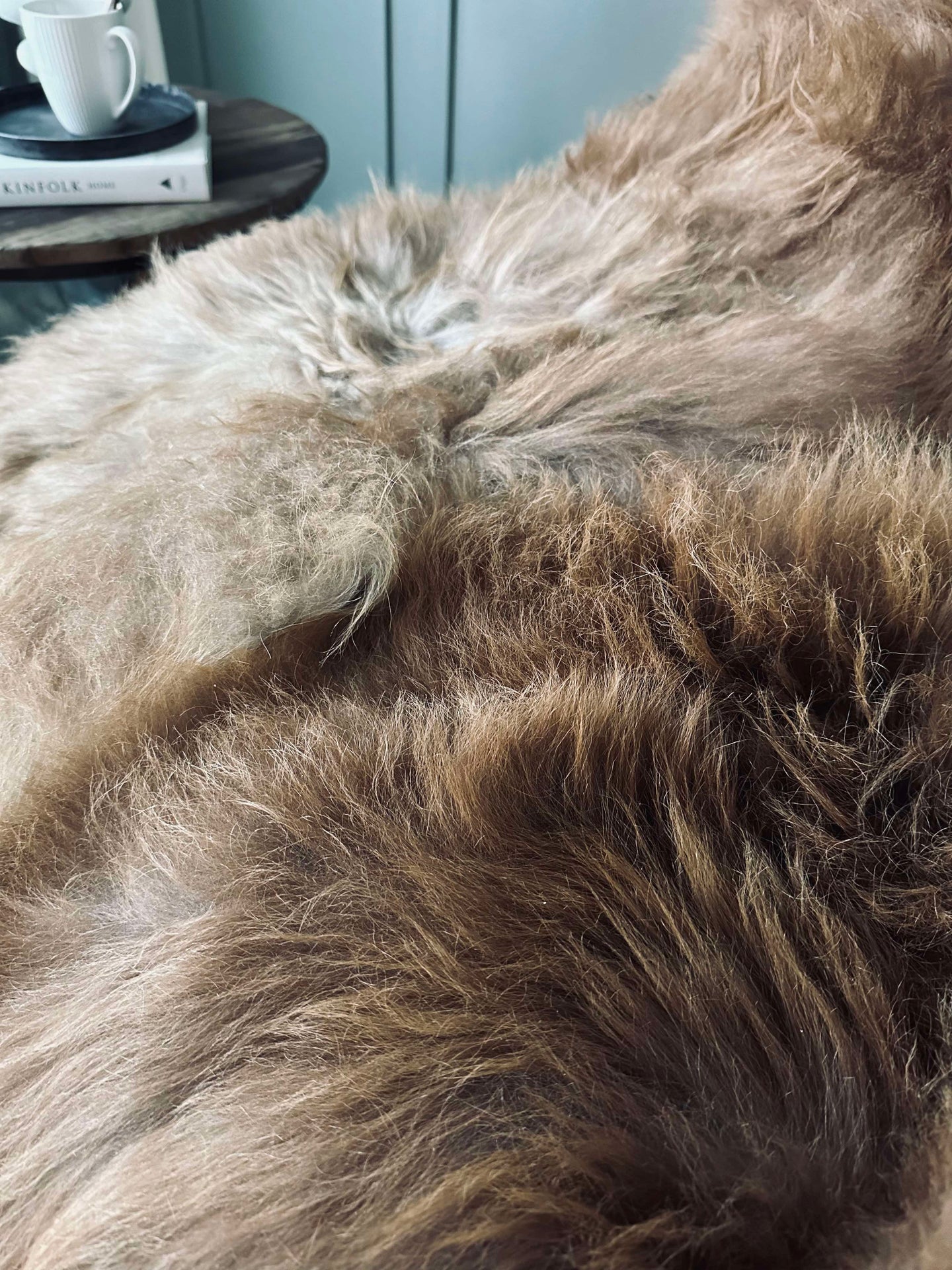 Isländskt lammskinn – Natur skinn Nougat nyanser