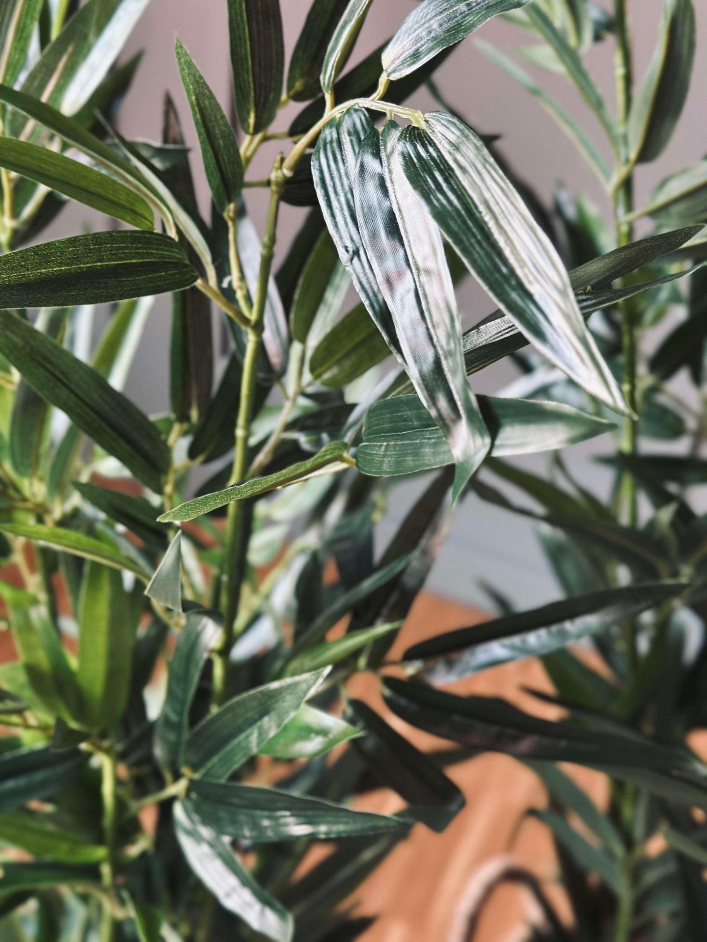 Bambu i kruka 110 cm