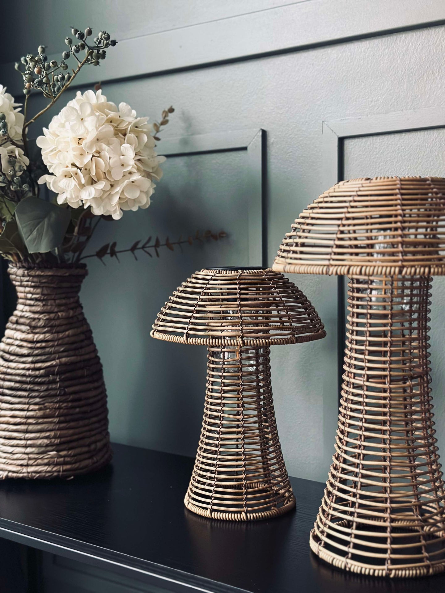 Svamp Solcell - Natur Stor