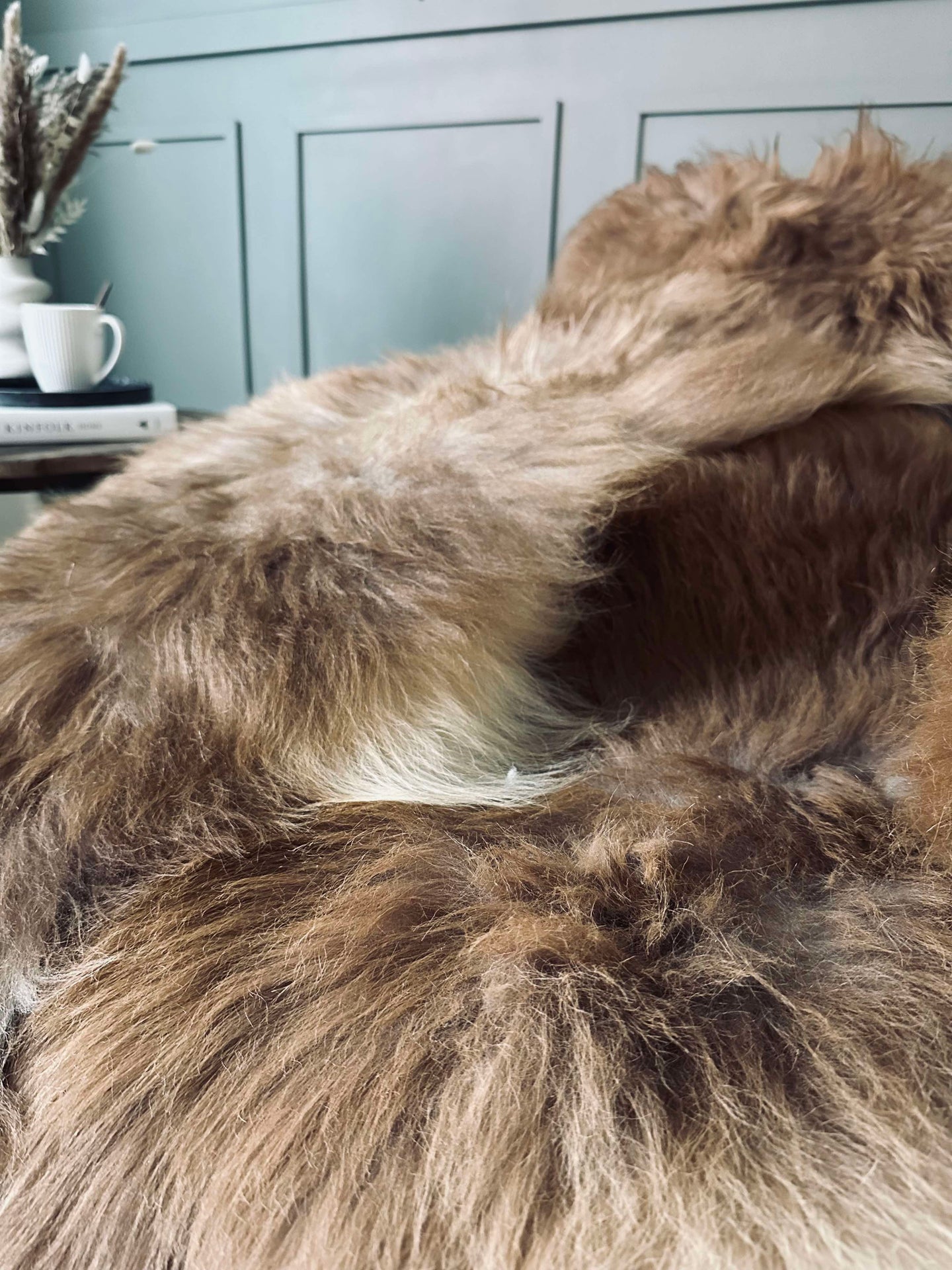 Isländskt lammskinn – Natur skinn Nougat nyanser