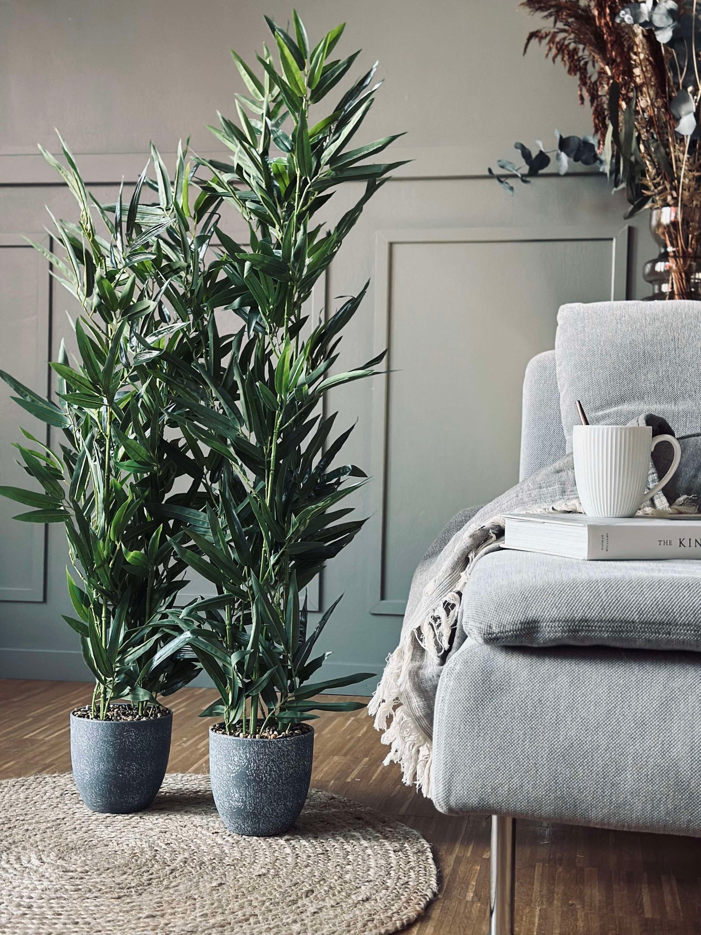 Bambu i kruka 80 cm