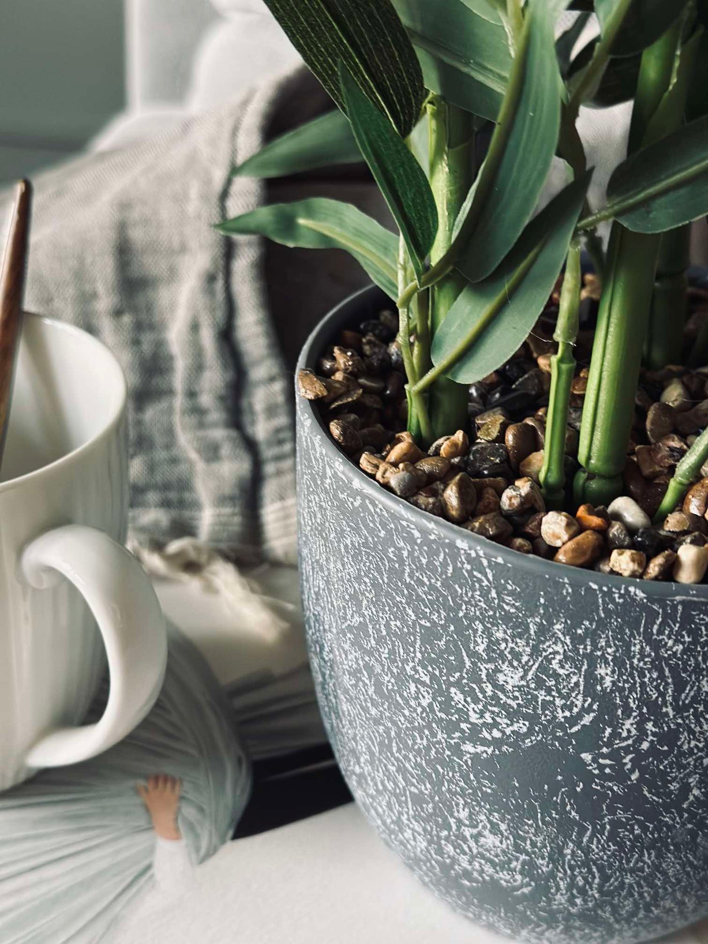 Bambu i kruka 80 cm