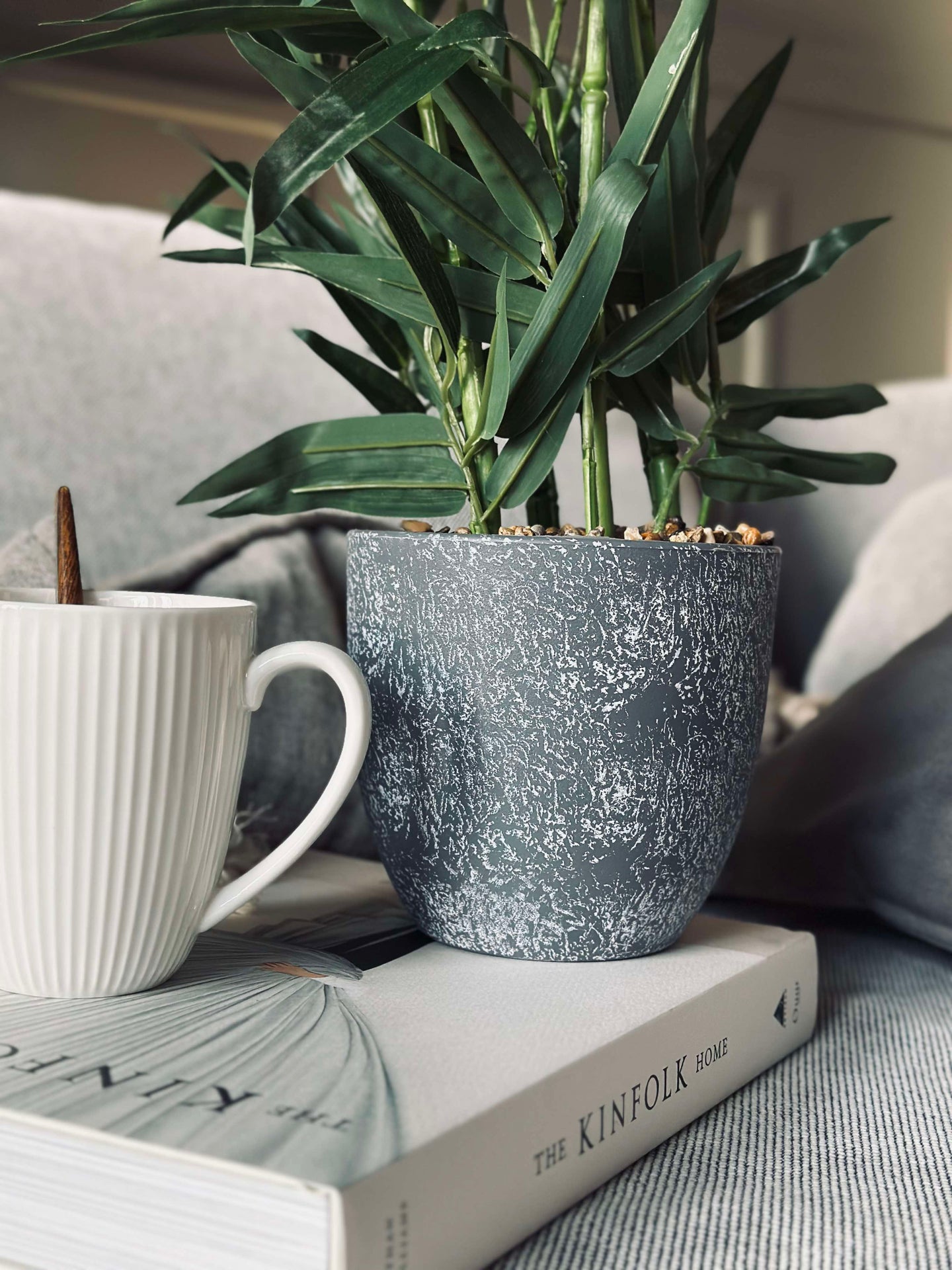 Bambu i kruka 80 cm
