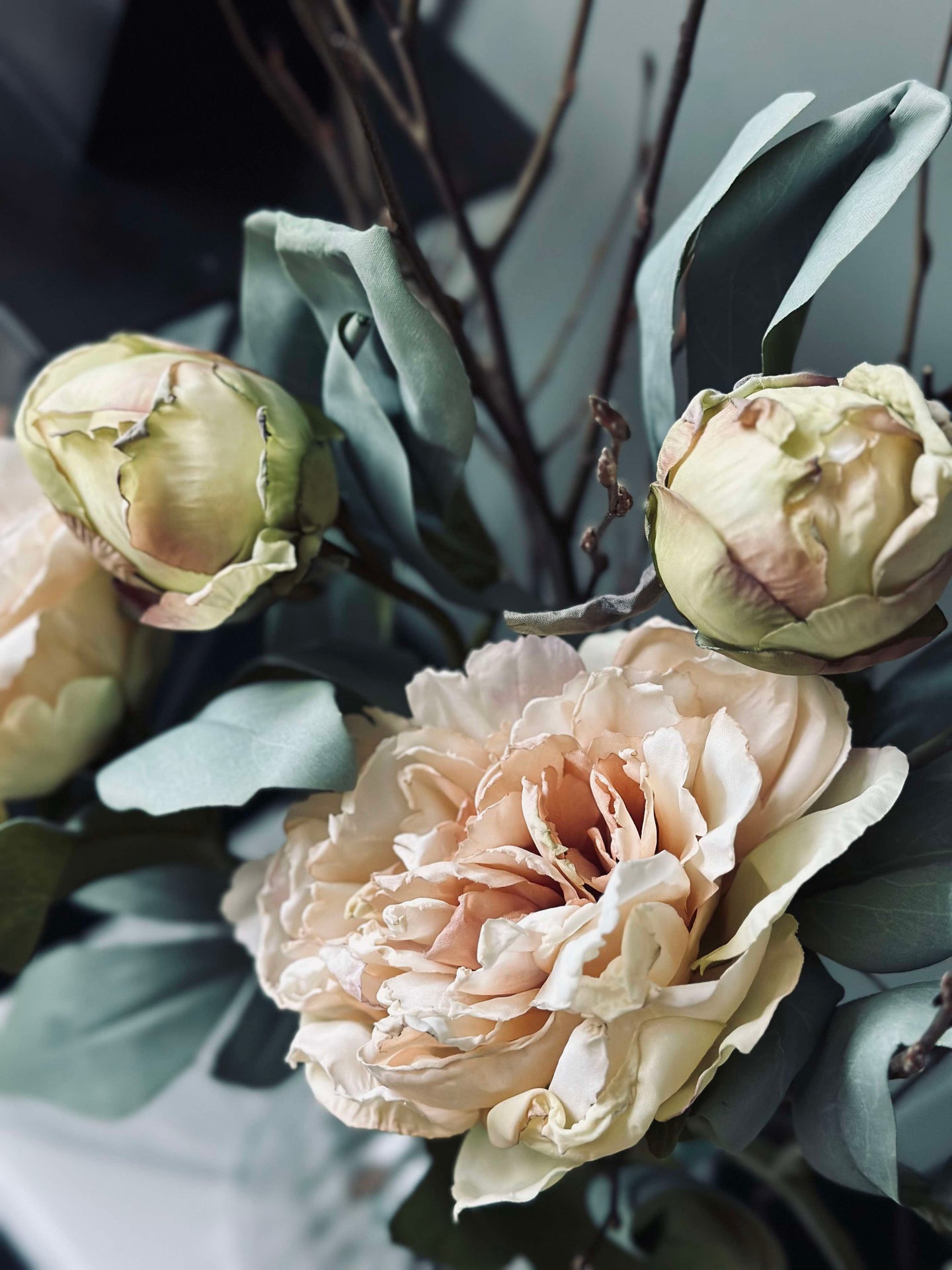 Blomst Pæon Creme