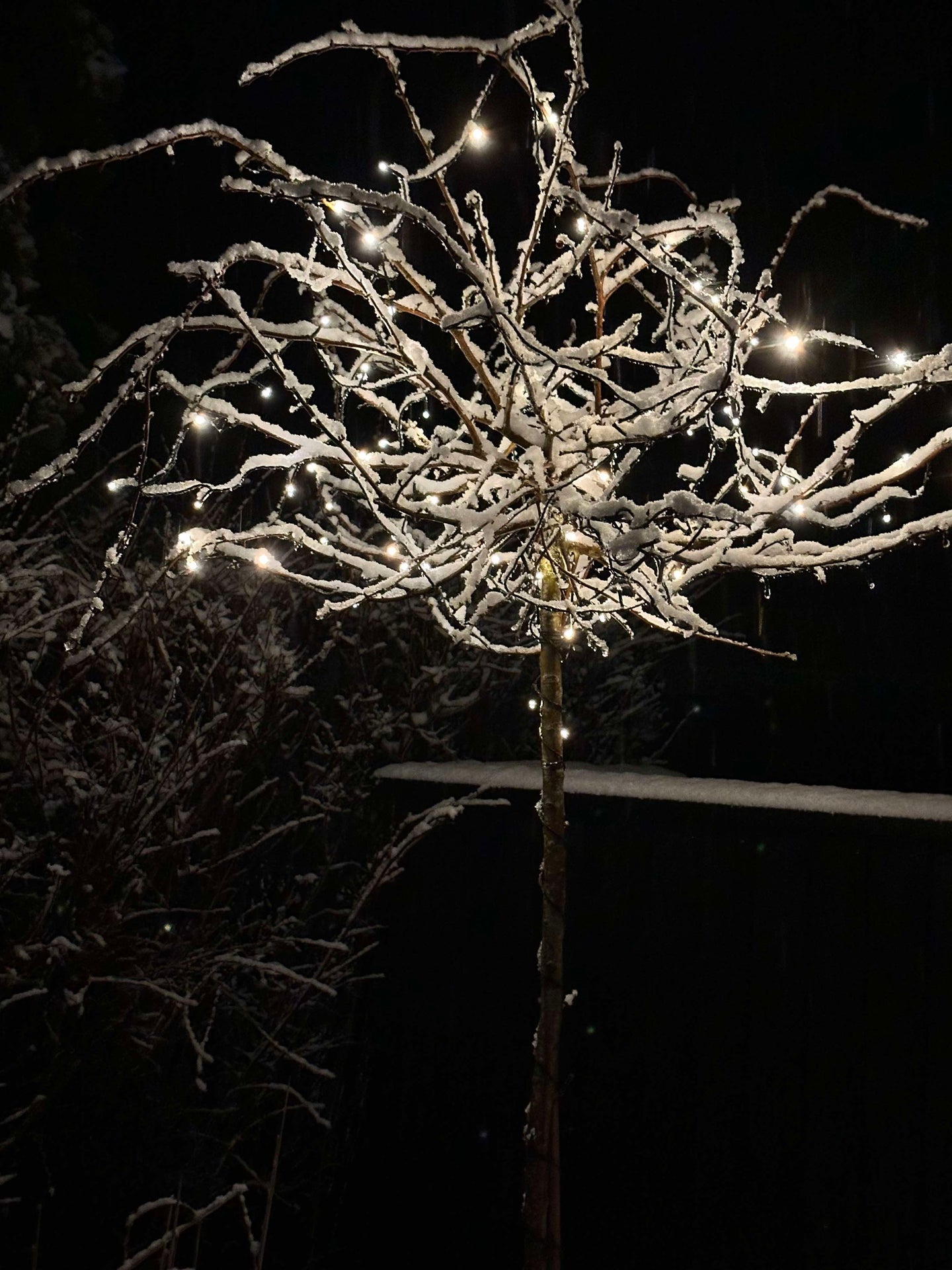 Ljusslinga med solceller - Extra kraftig med 400 LED-lampor