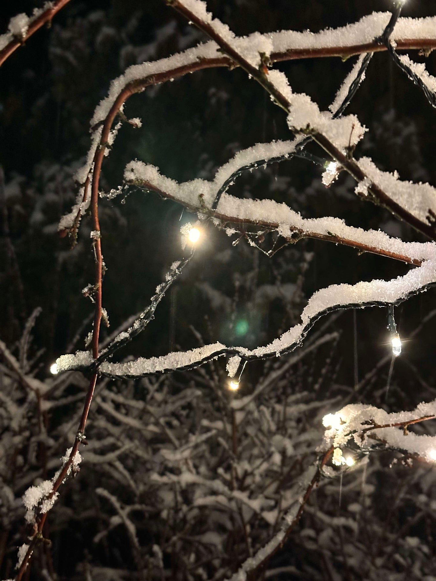 Ljusslinga med solceller - Extra kraftig med 400 LED-lampor
