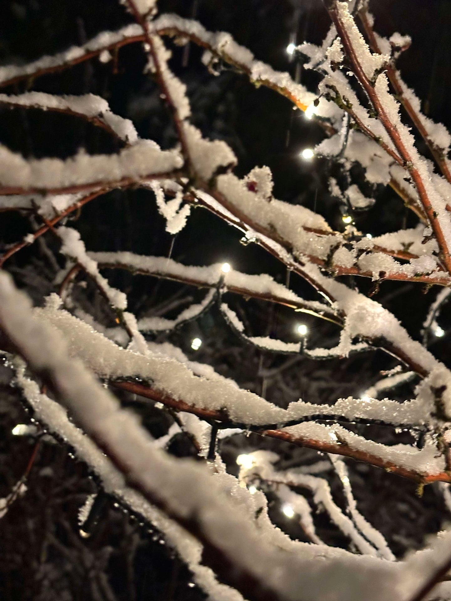 Ljusslinga med solceller - Extra kraftig med 400 LED-lampor