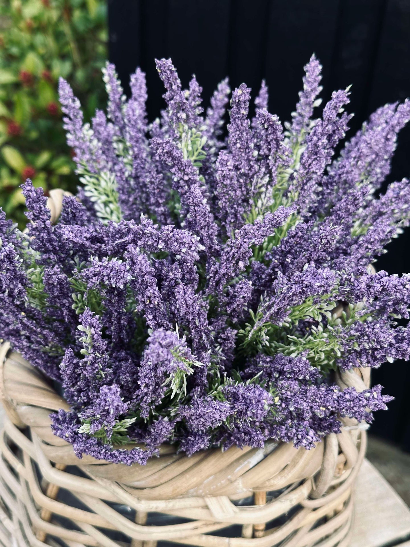 Lavendel på stjälk