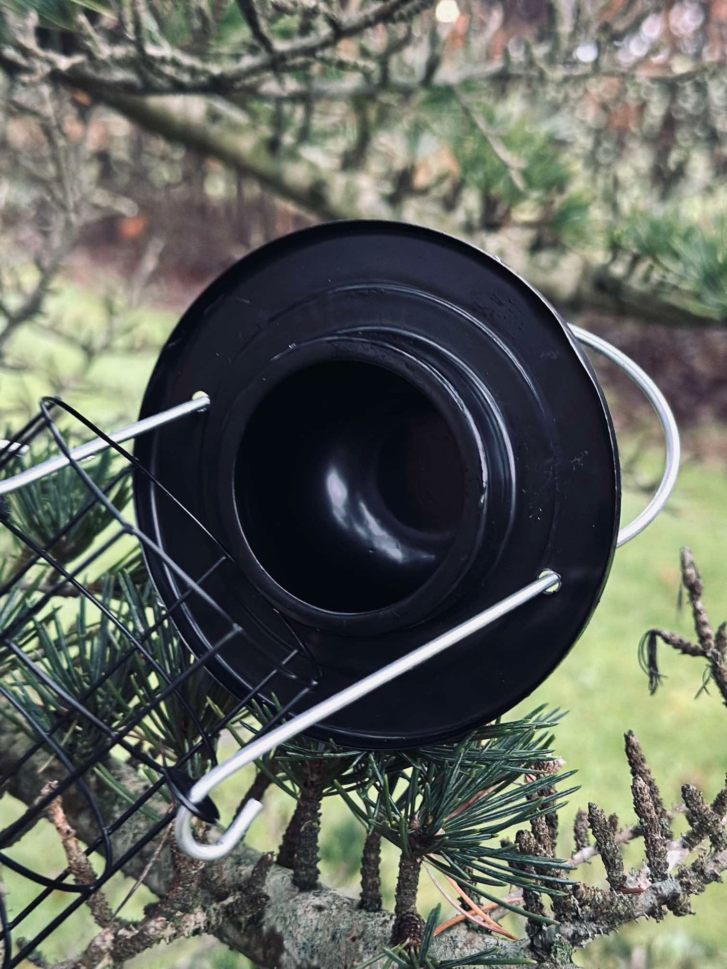 Fågelmatshängare för majsbollar