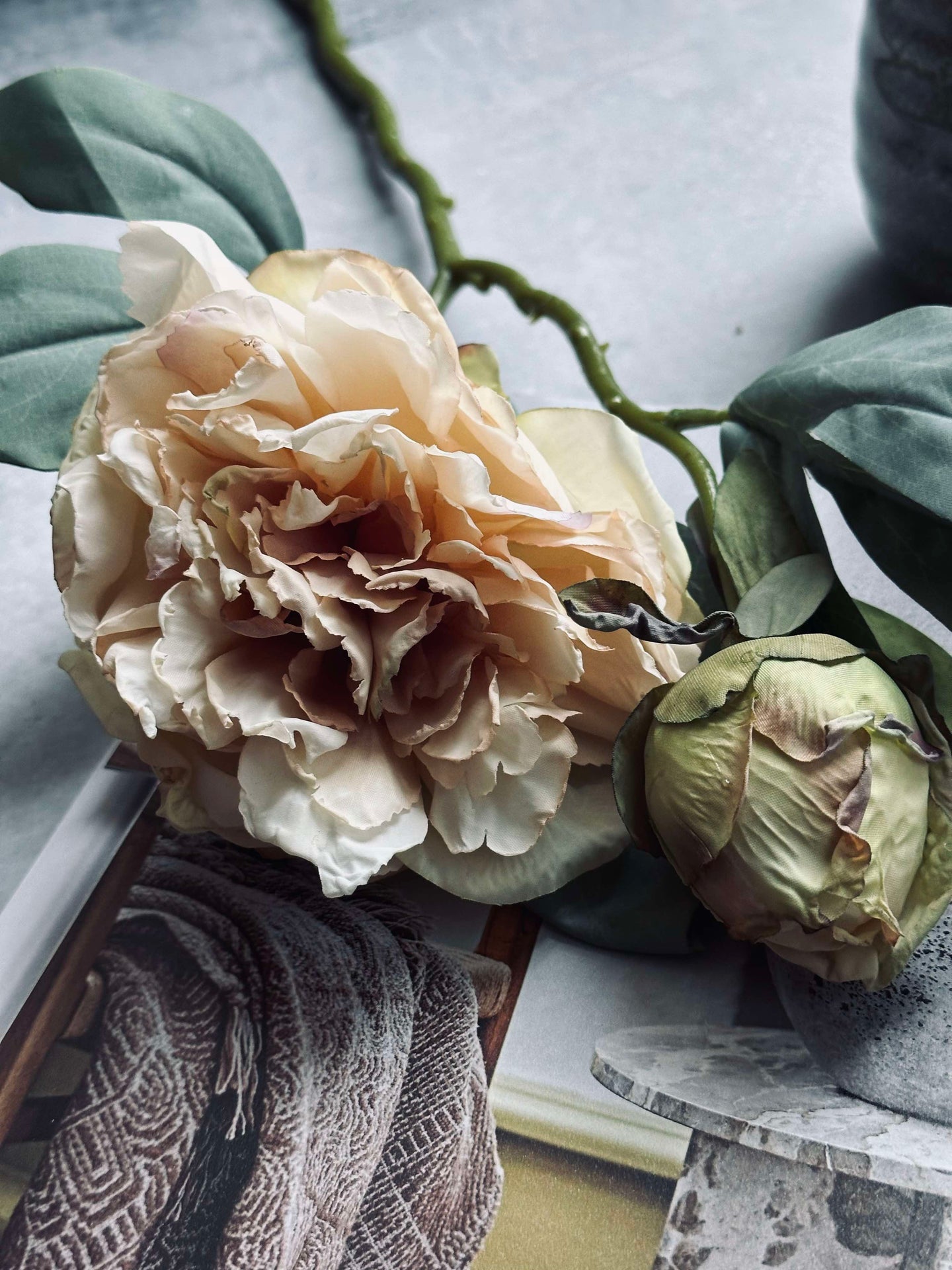 Blomst Pæon Creme