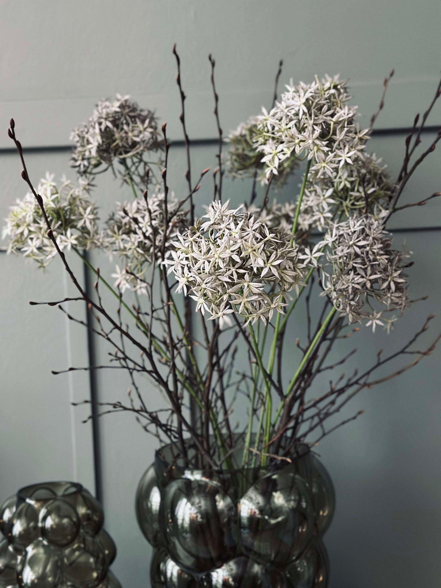 Blomma Allium