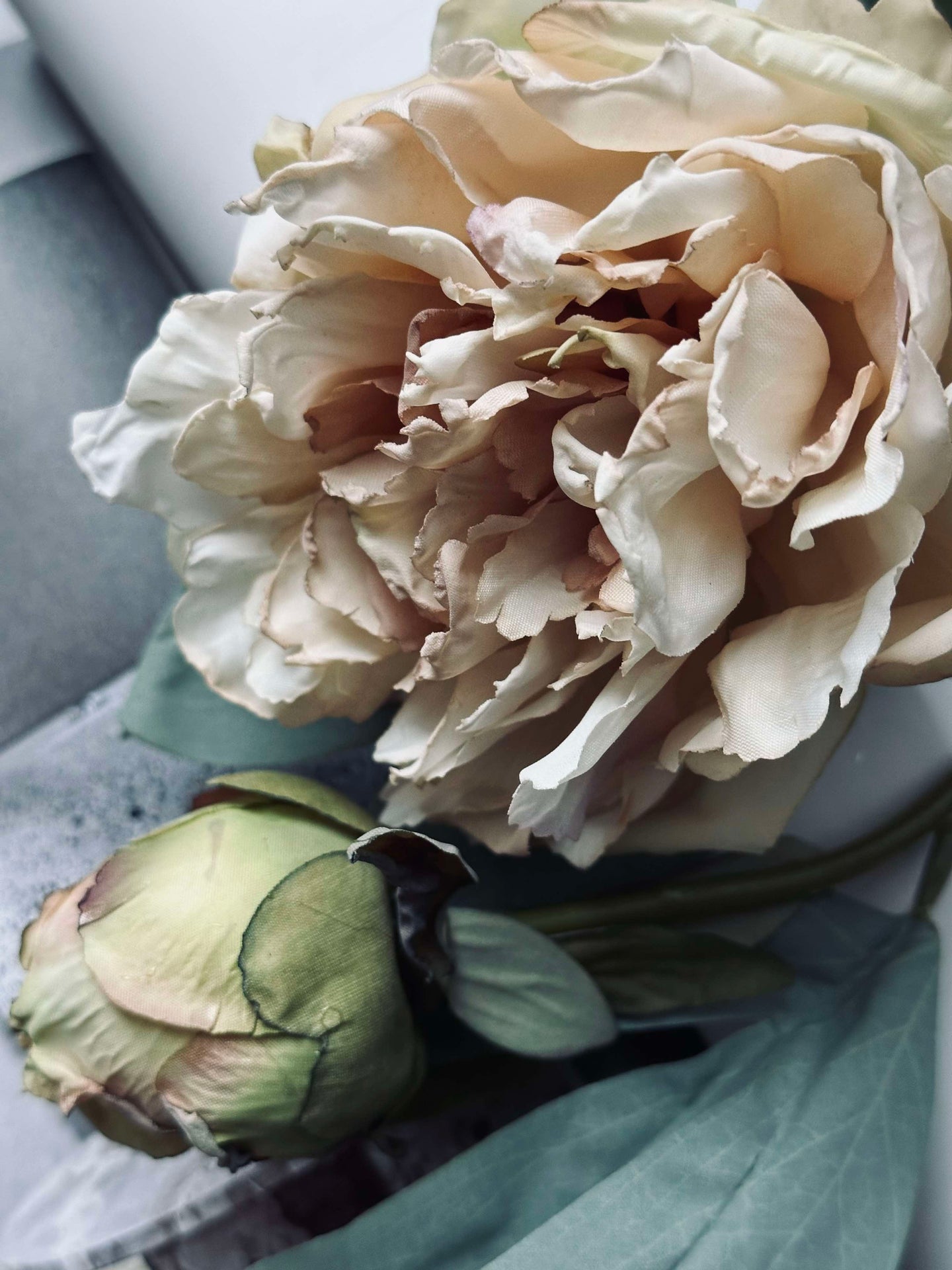 Blomst Pæon Creme