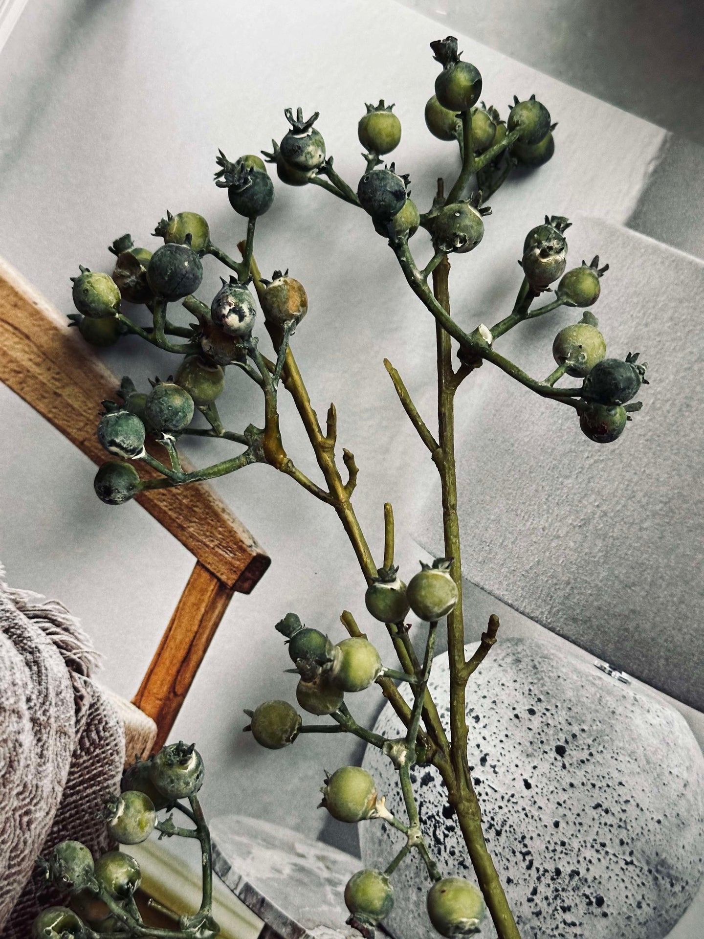 Blomma Mariebär