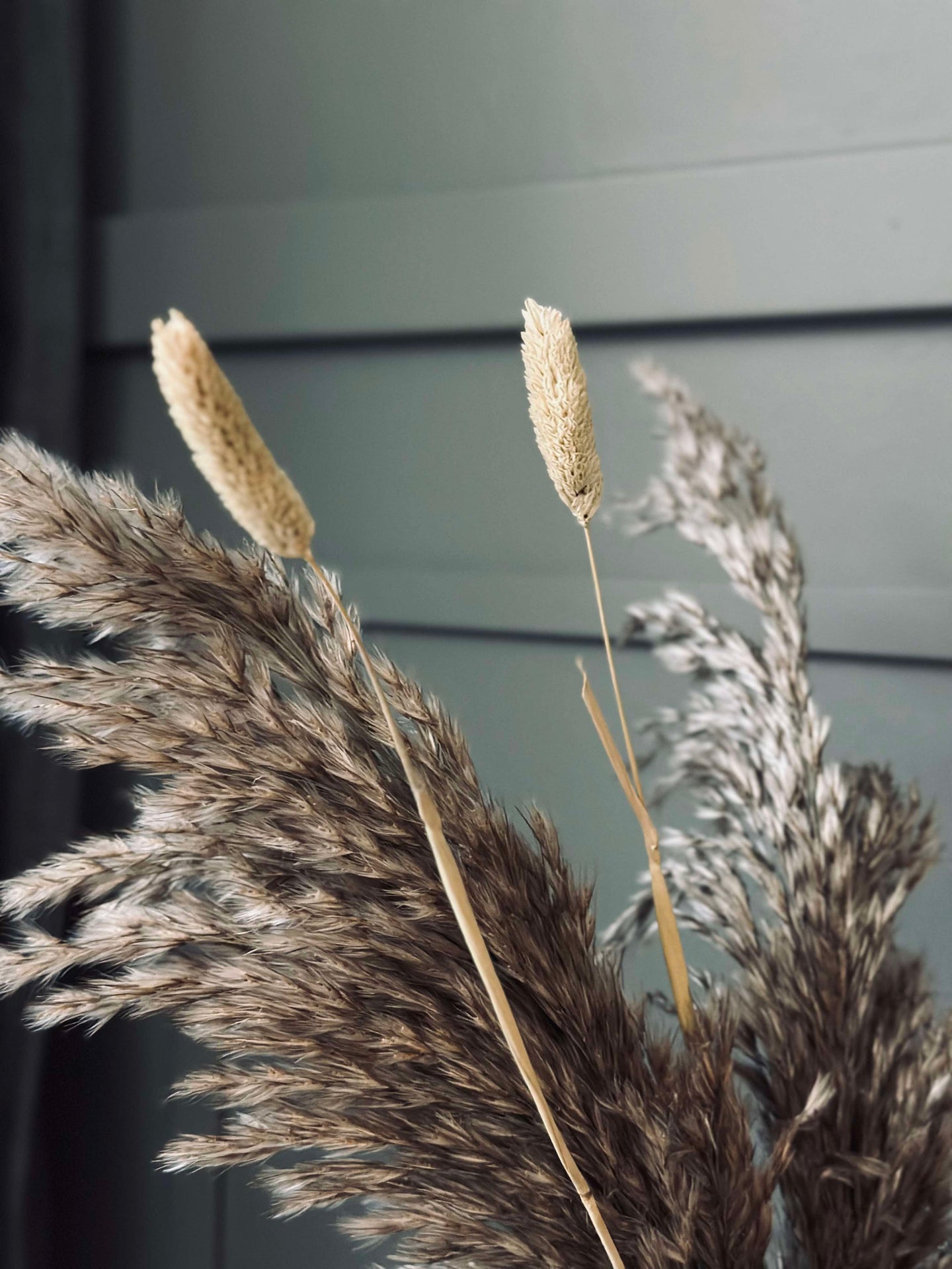 Evighetsbukett Naturmix