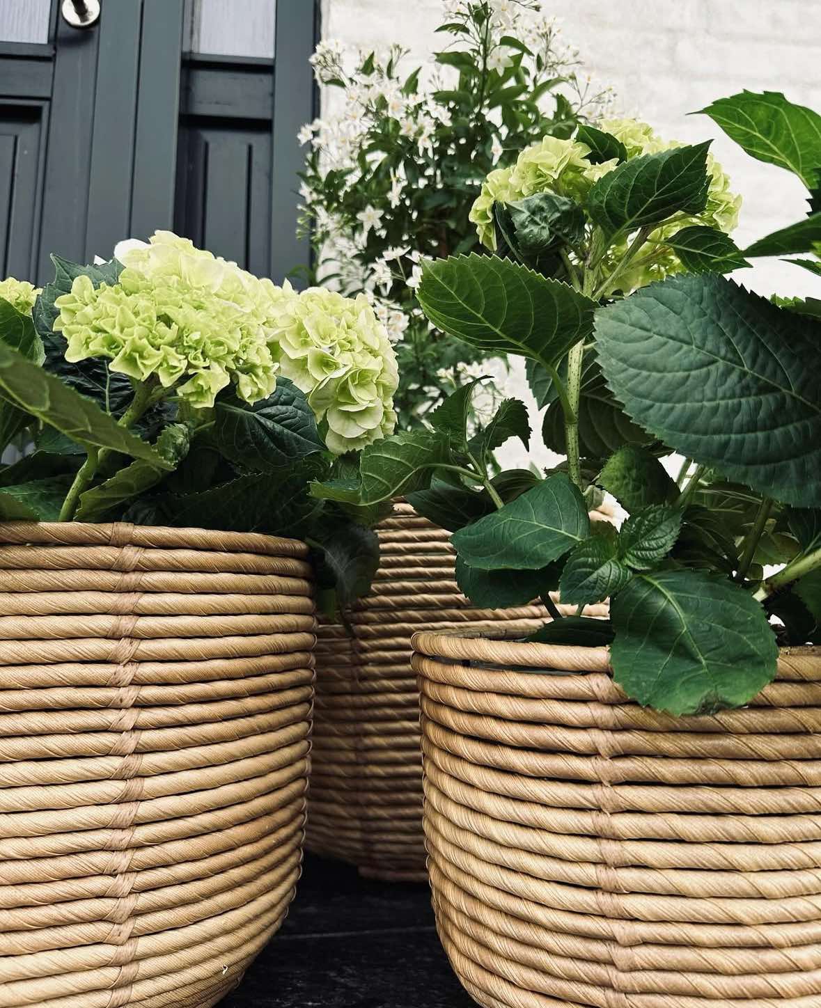 Plantkorgar RATTAN STOR - Set med 3 storlekar