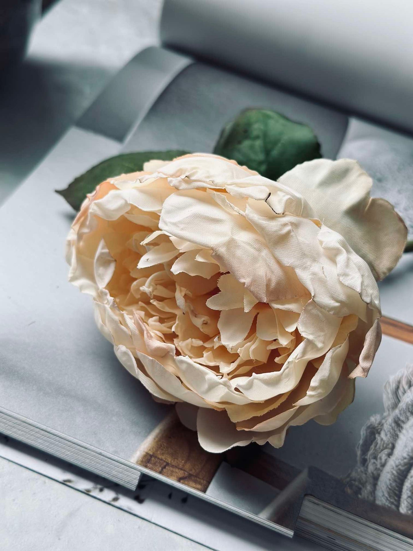 Blomma silk Pion Creme