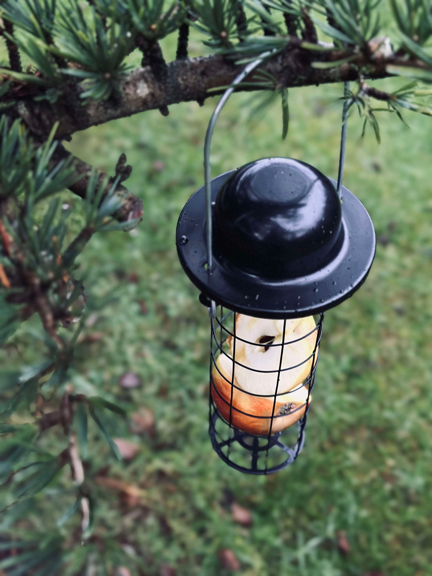 Fågelmatshängare för majsbollar