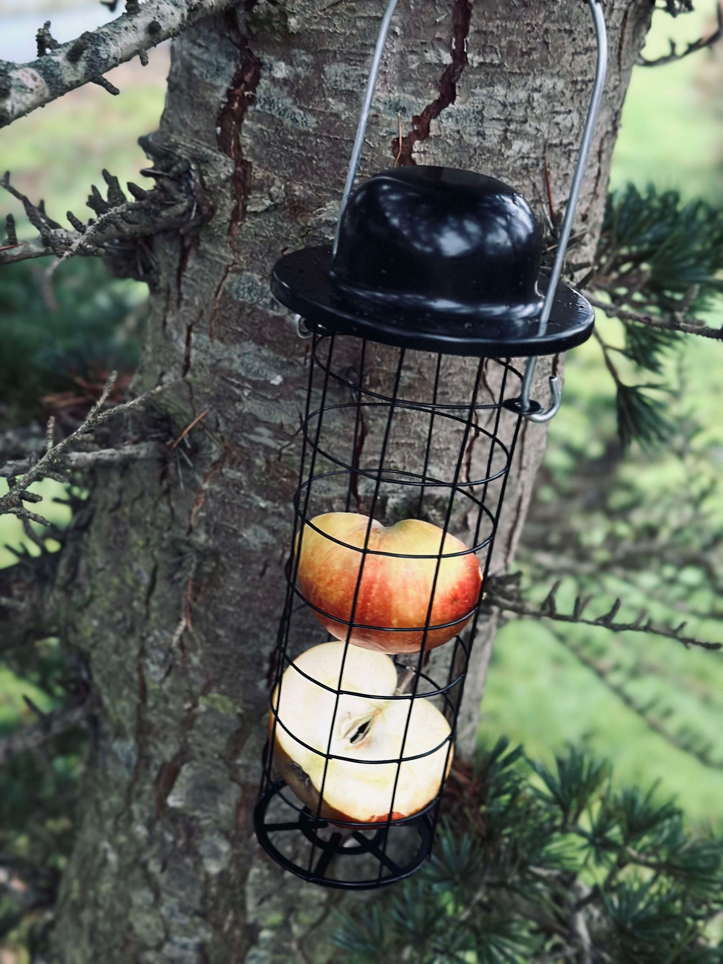 Fågelmatshängare för majsbollar