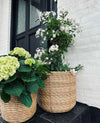 Plantekurve RATTAN BIG - Set med 3 storlekar