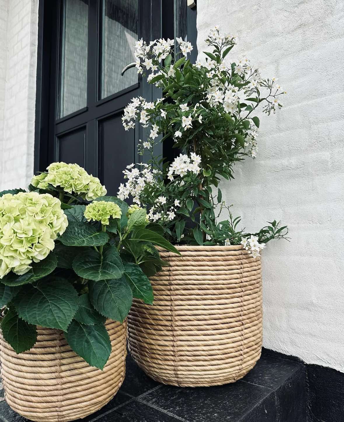 Plantekurve RATTAN BIG - Set med 3 storlekar