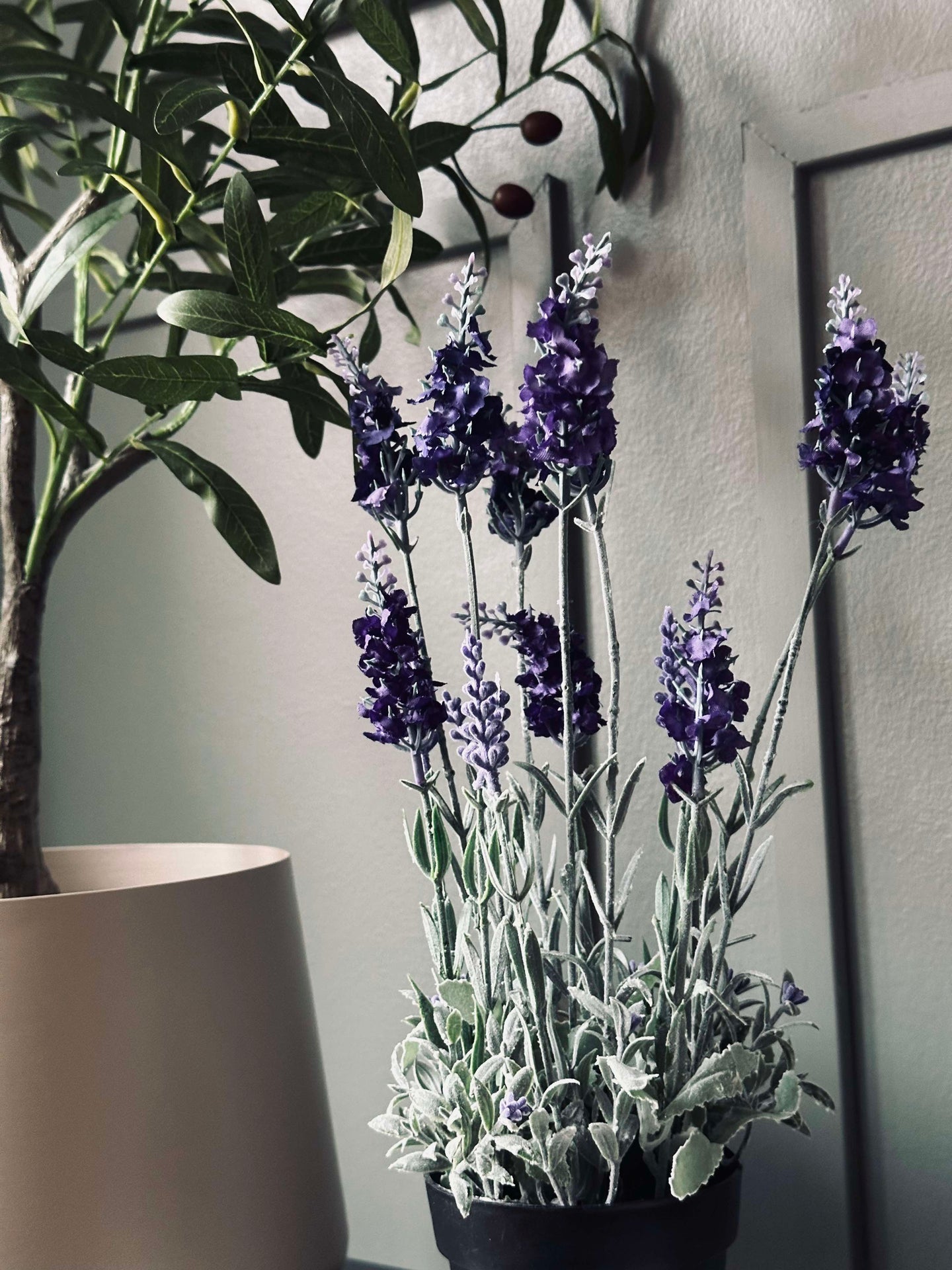 Lavendel 40 cm - Mörklila