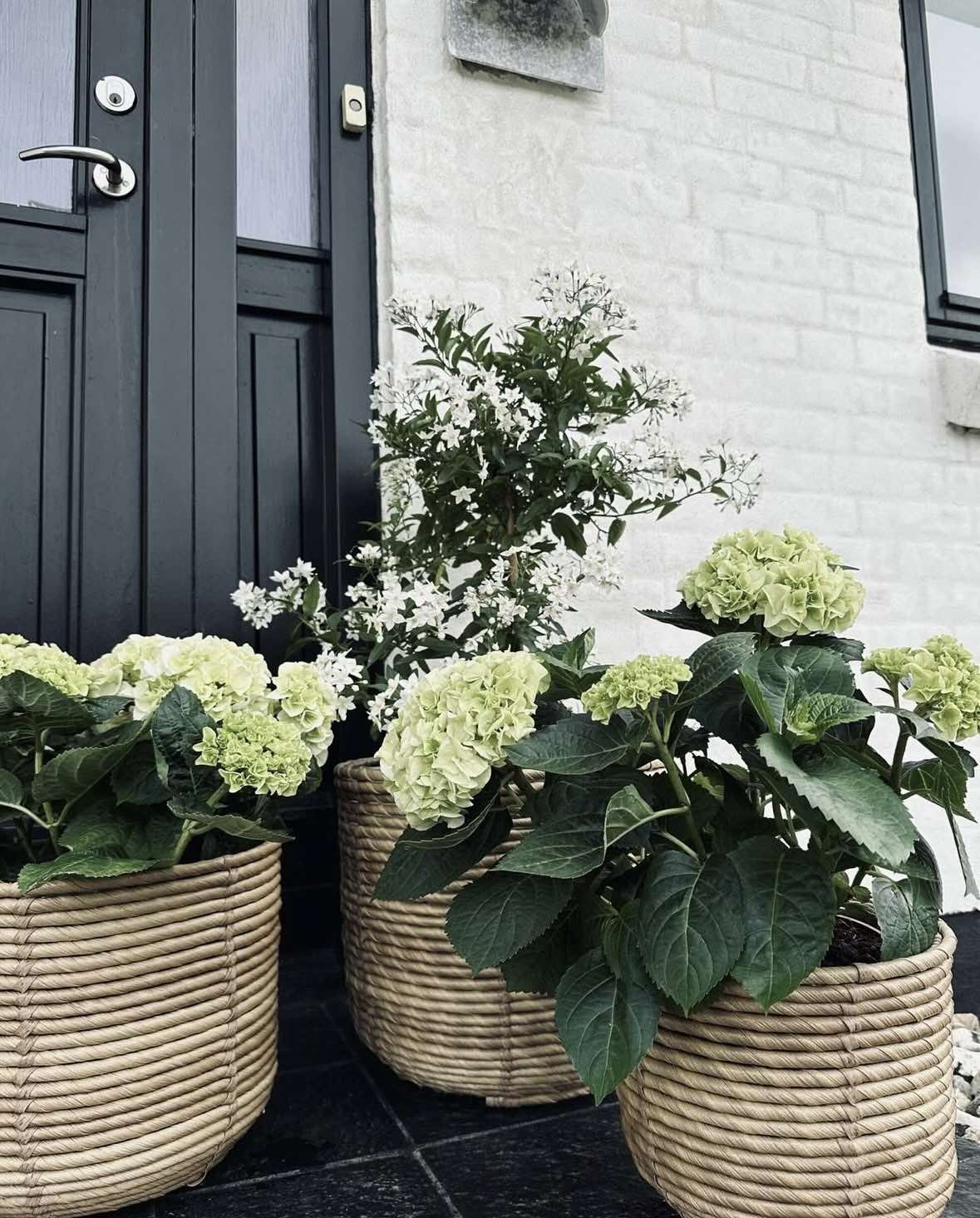 Plantkorgar RATTAN STOR - Set med 3 storlekar