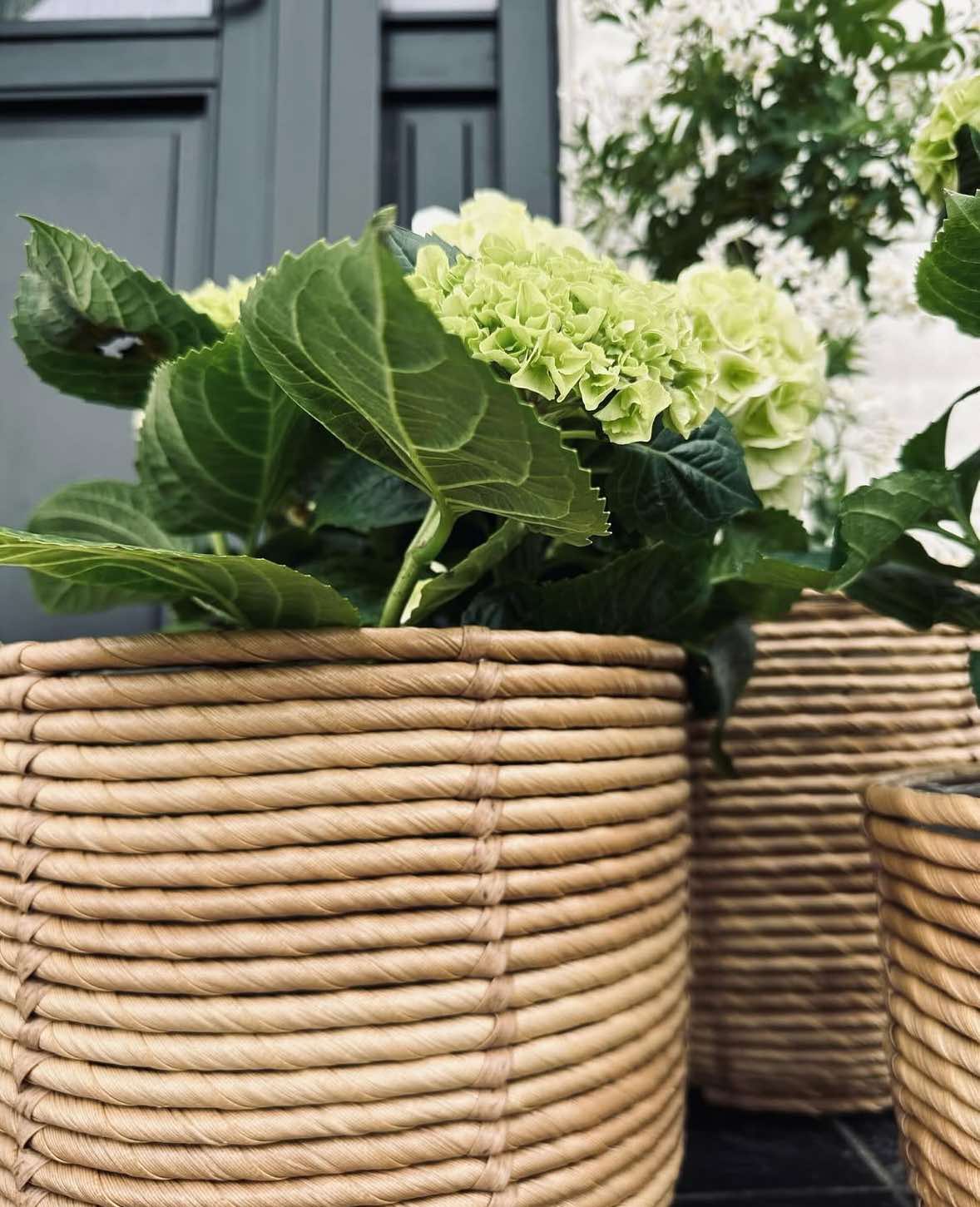 RATTAN Växtkorgar – Set med 3 storlekar