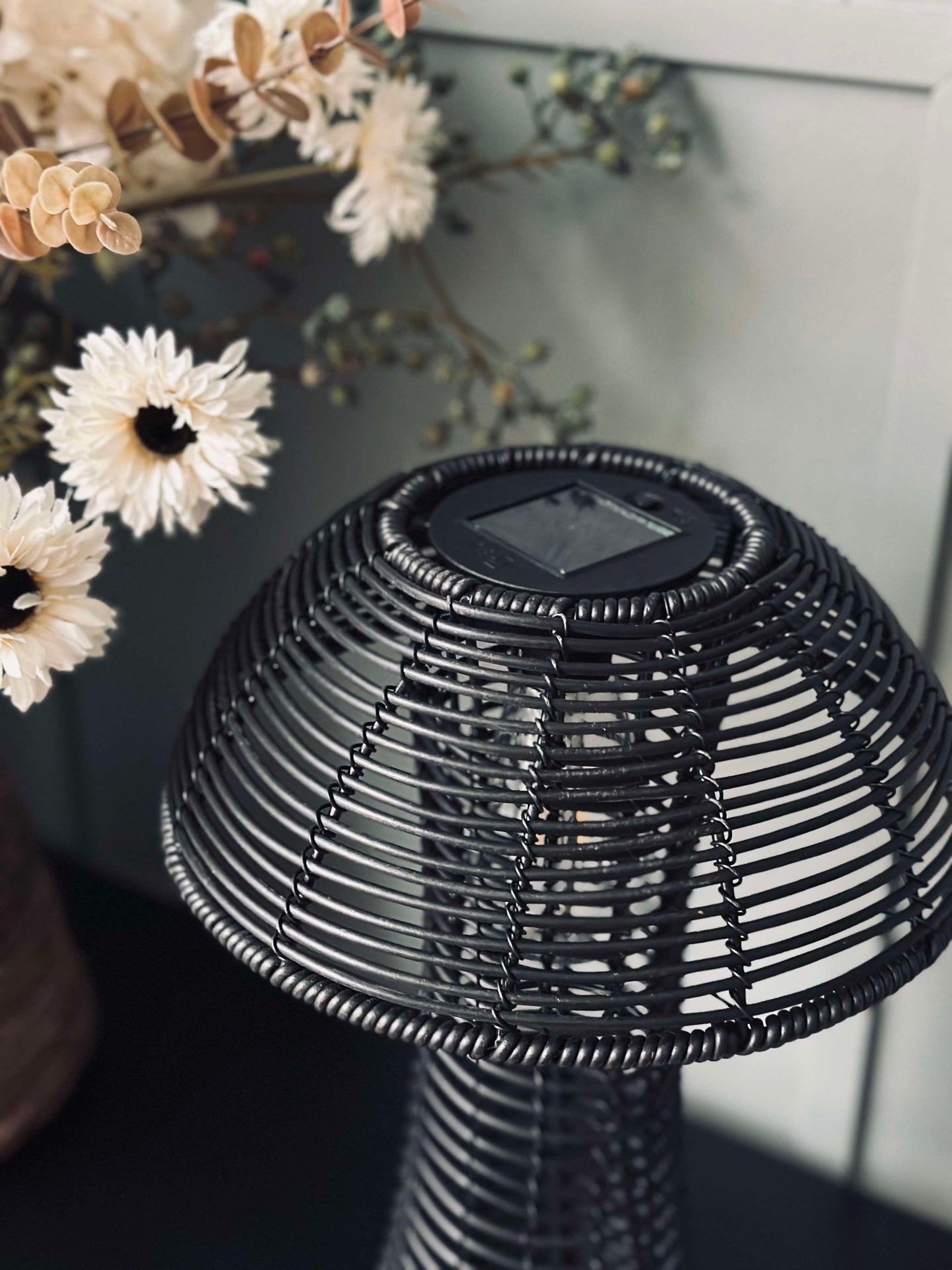 Svamp Solcell - Svart Liten