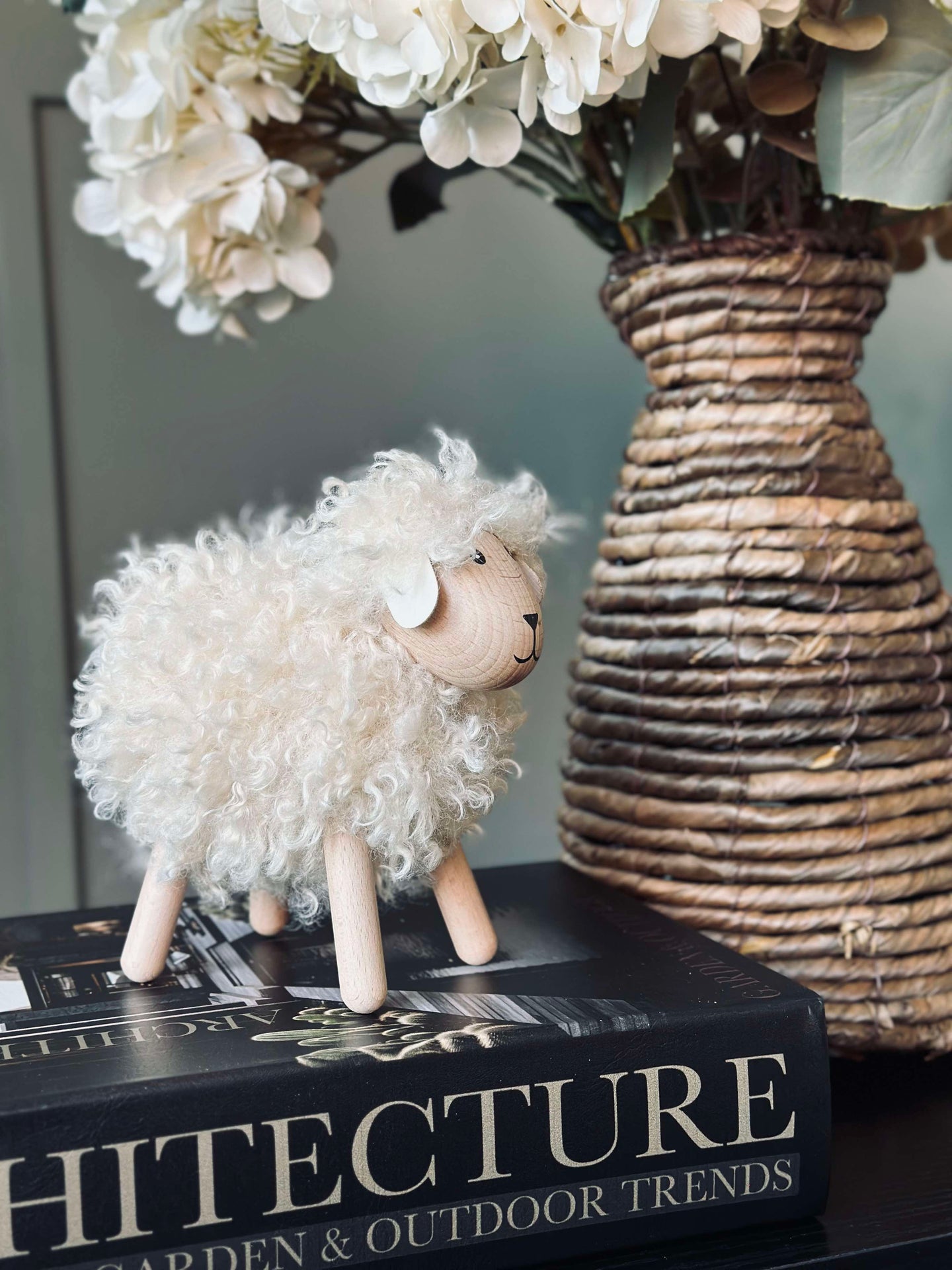 Får långhårig - Natur Stor