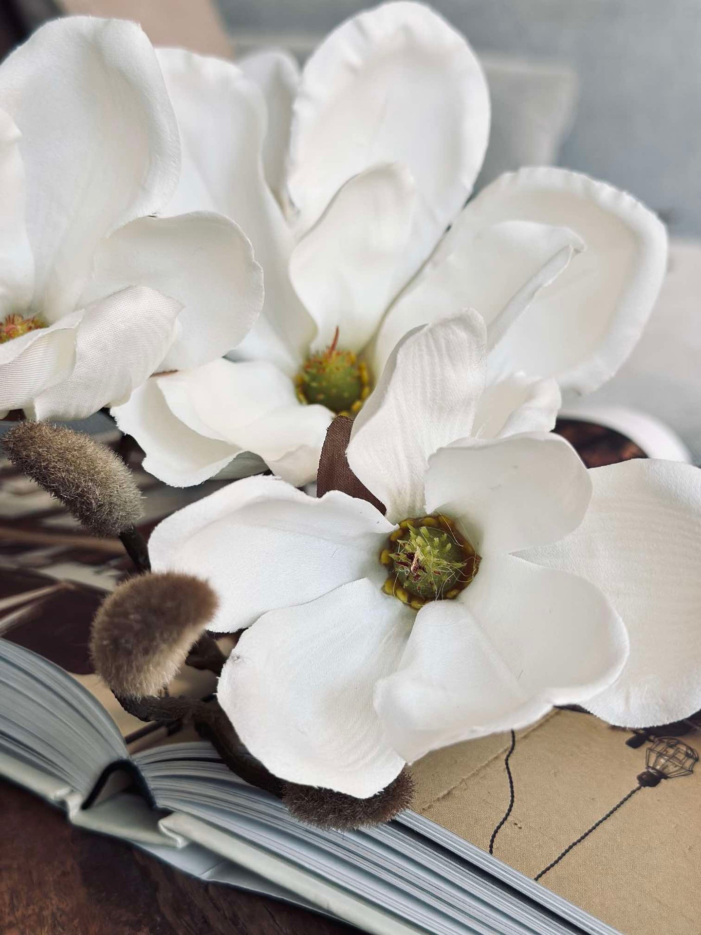 Magnoliakvist - 92 cm