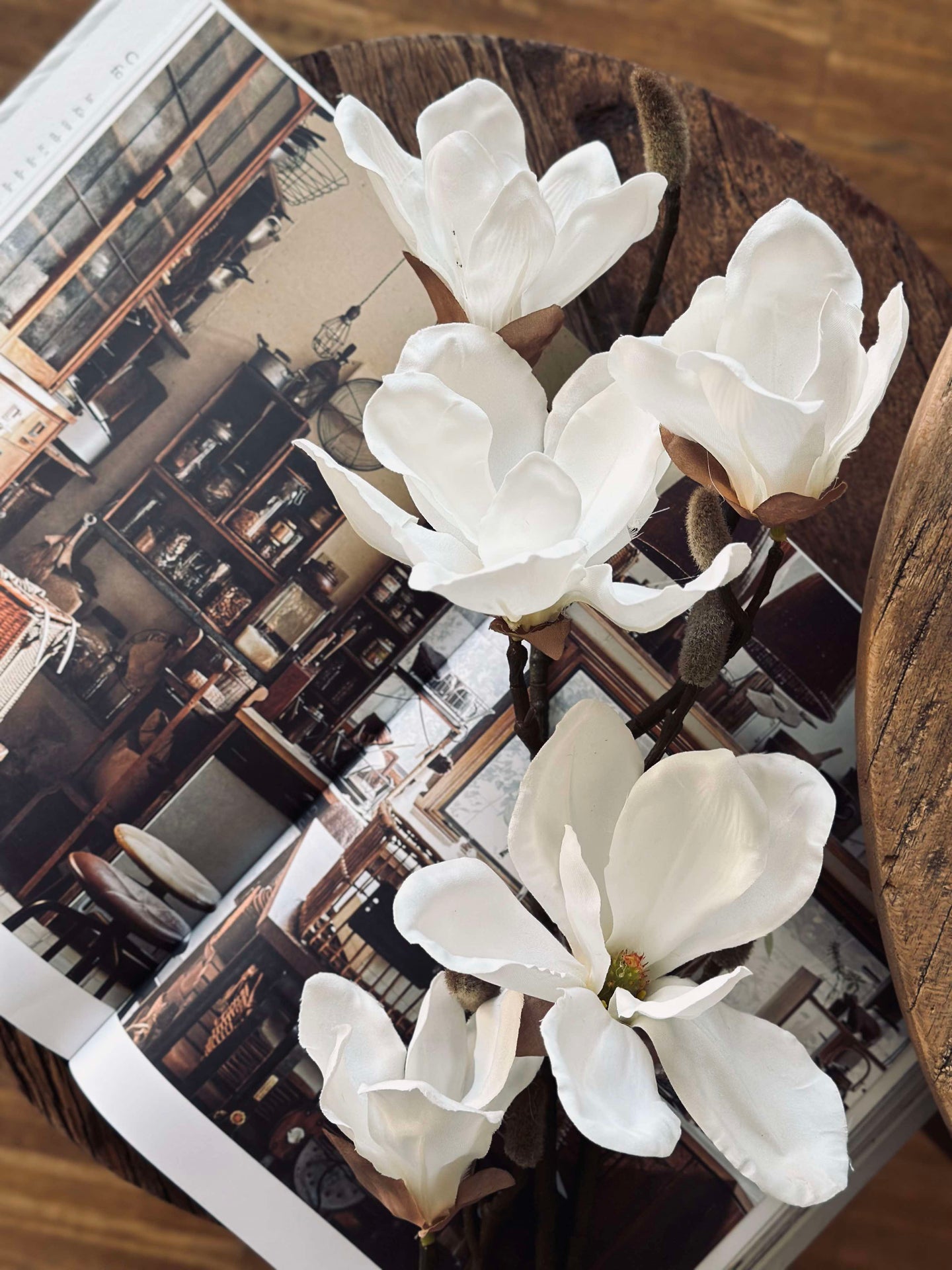 Magnoliakvist - 92 cm