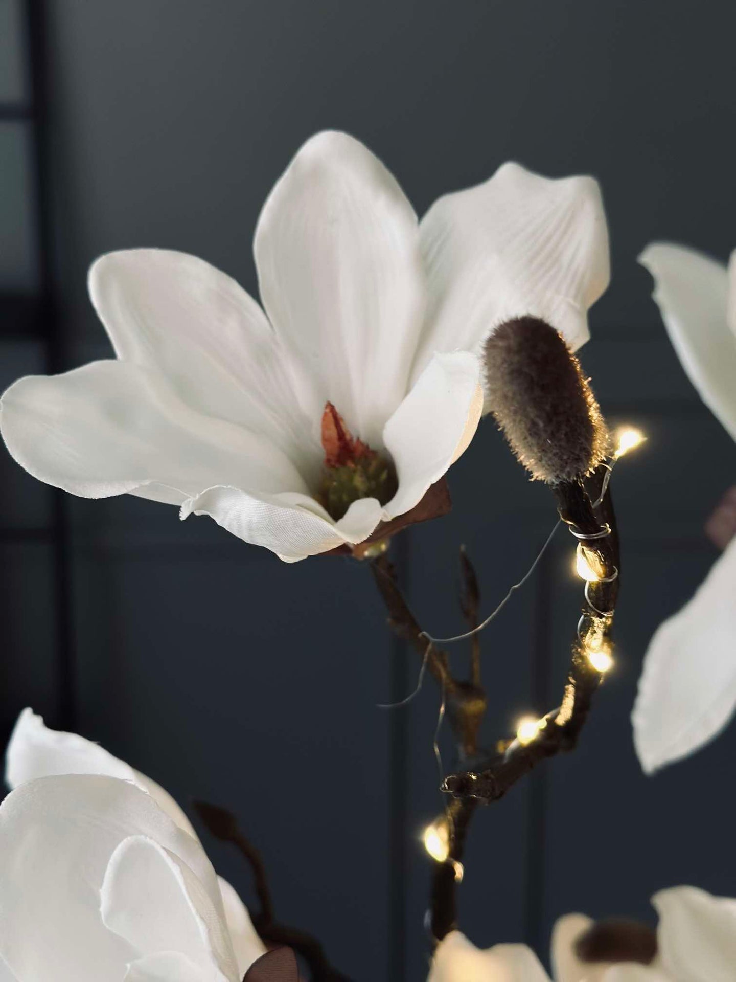 Magnoliagren med ljus