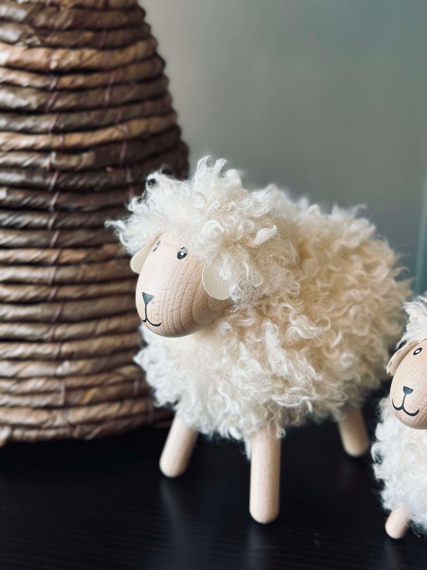 Får långhårig - Natur Stor