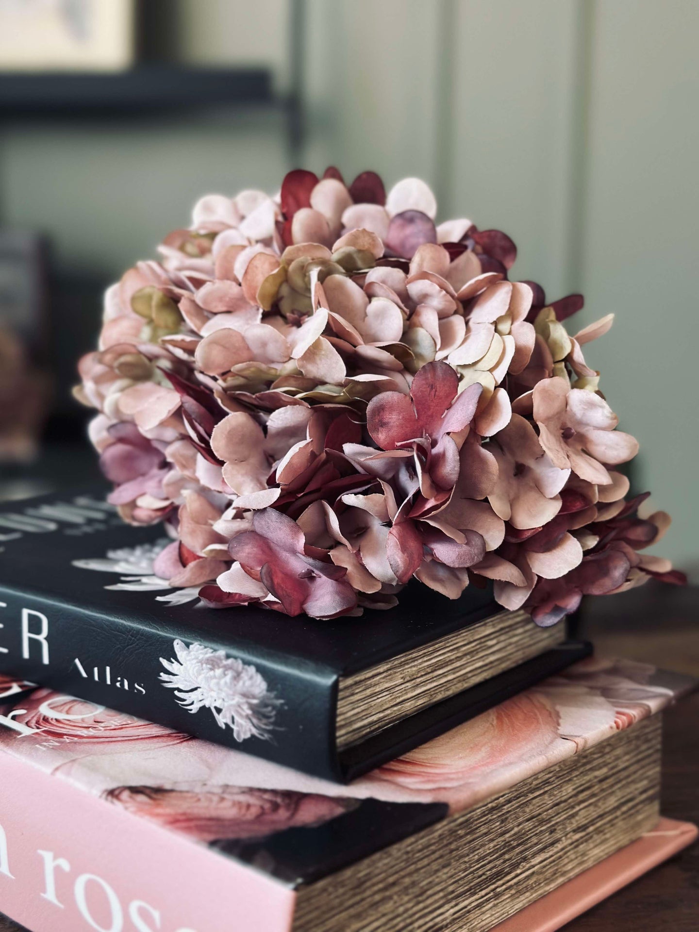 Hortensia Gammal Ros